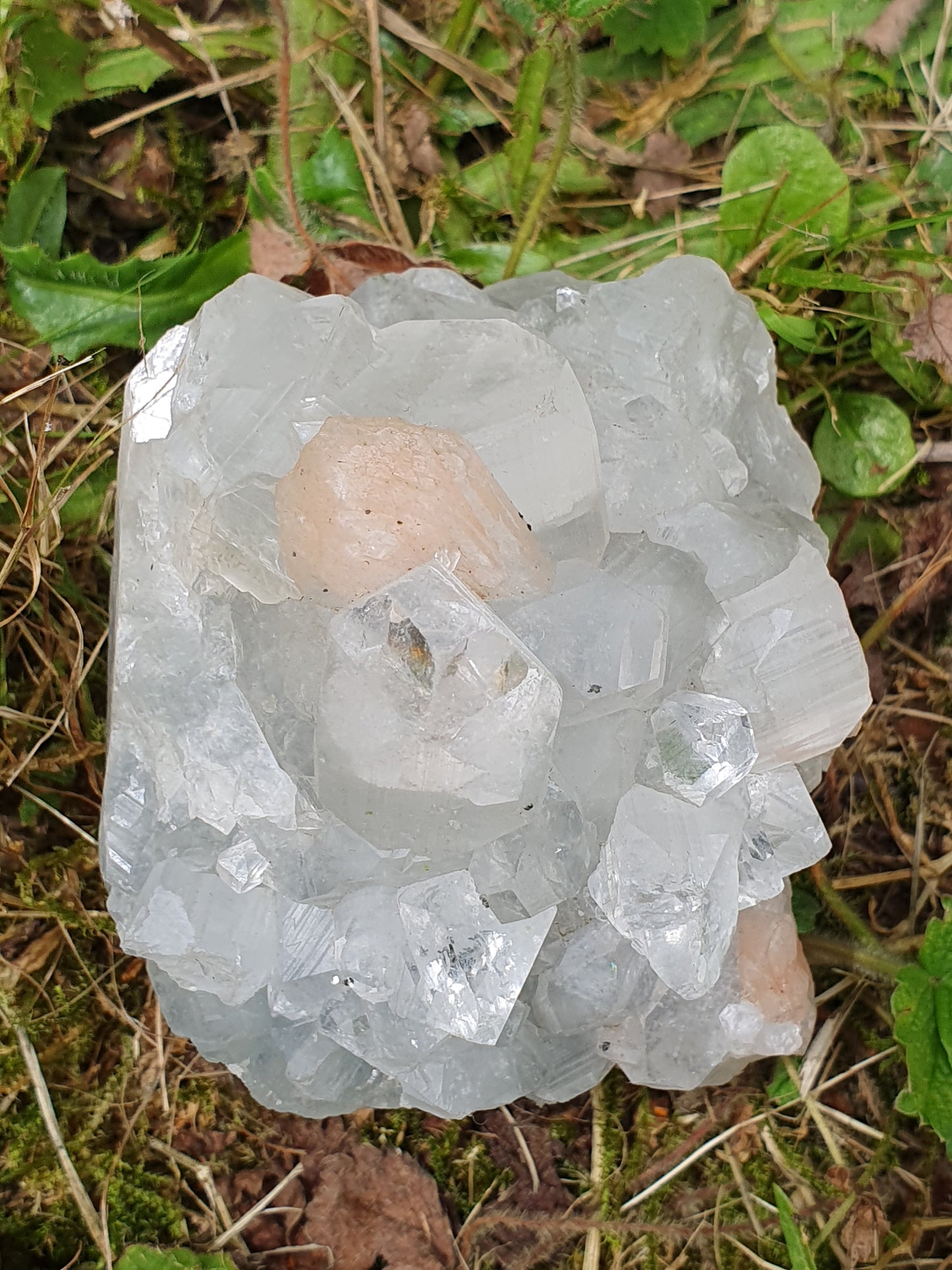 Apophyllite et stilbite sur Calcédoine A7