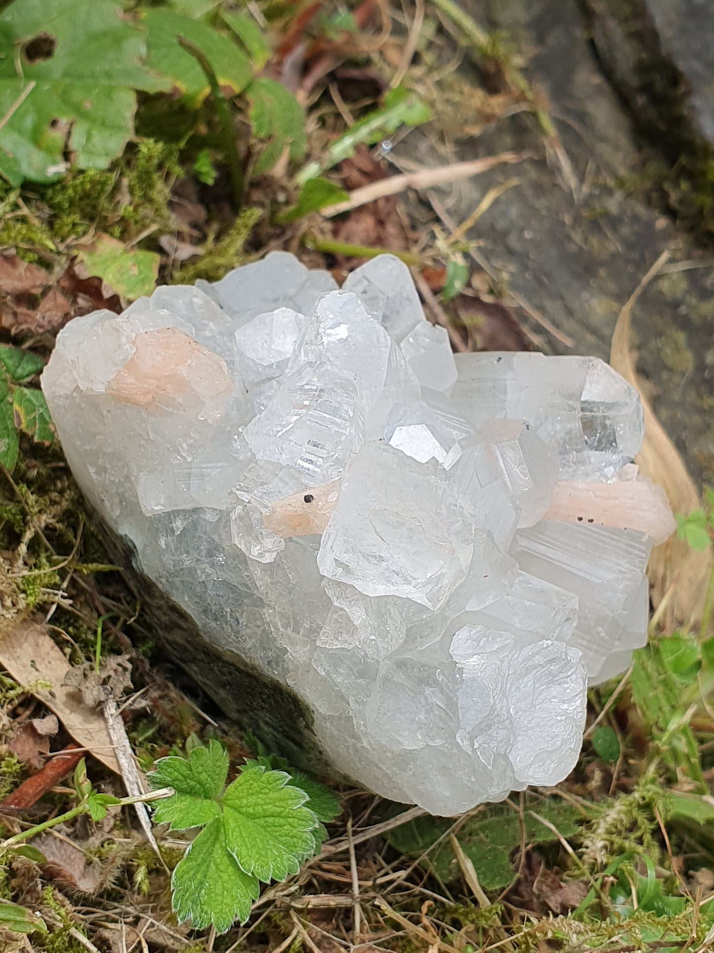 Apophyllite et stilbite sur Calcédoine A7