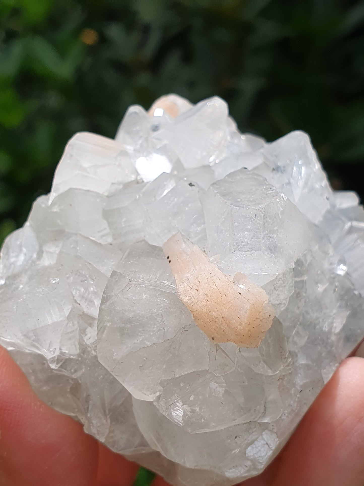 Apophyllite et stilbite sur Calcédoine A7