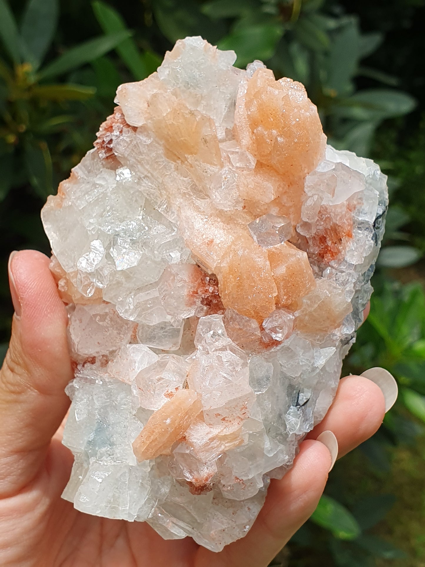 Apophyllite et stilbite sur Calcédoine A2