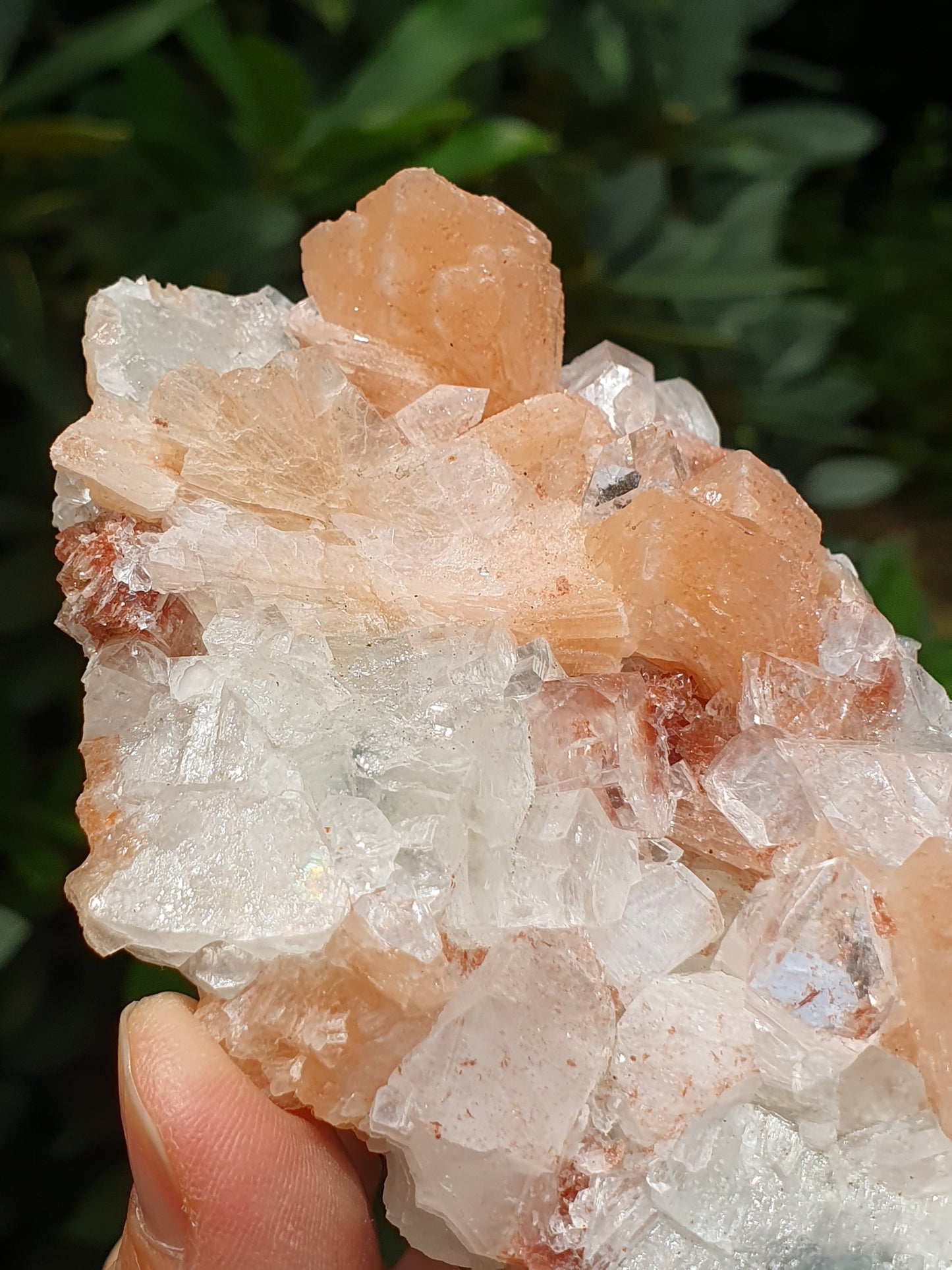 Apophyllite et stilbite sur Calcédoine A2