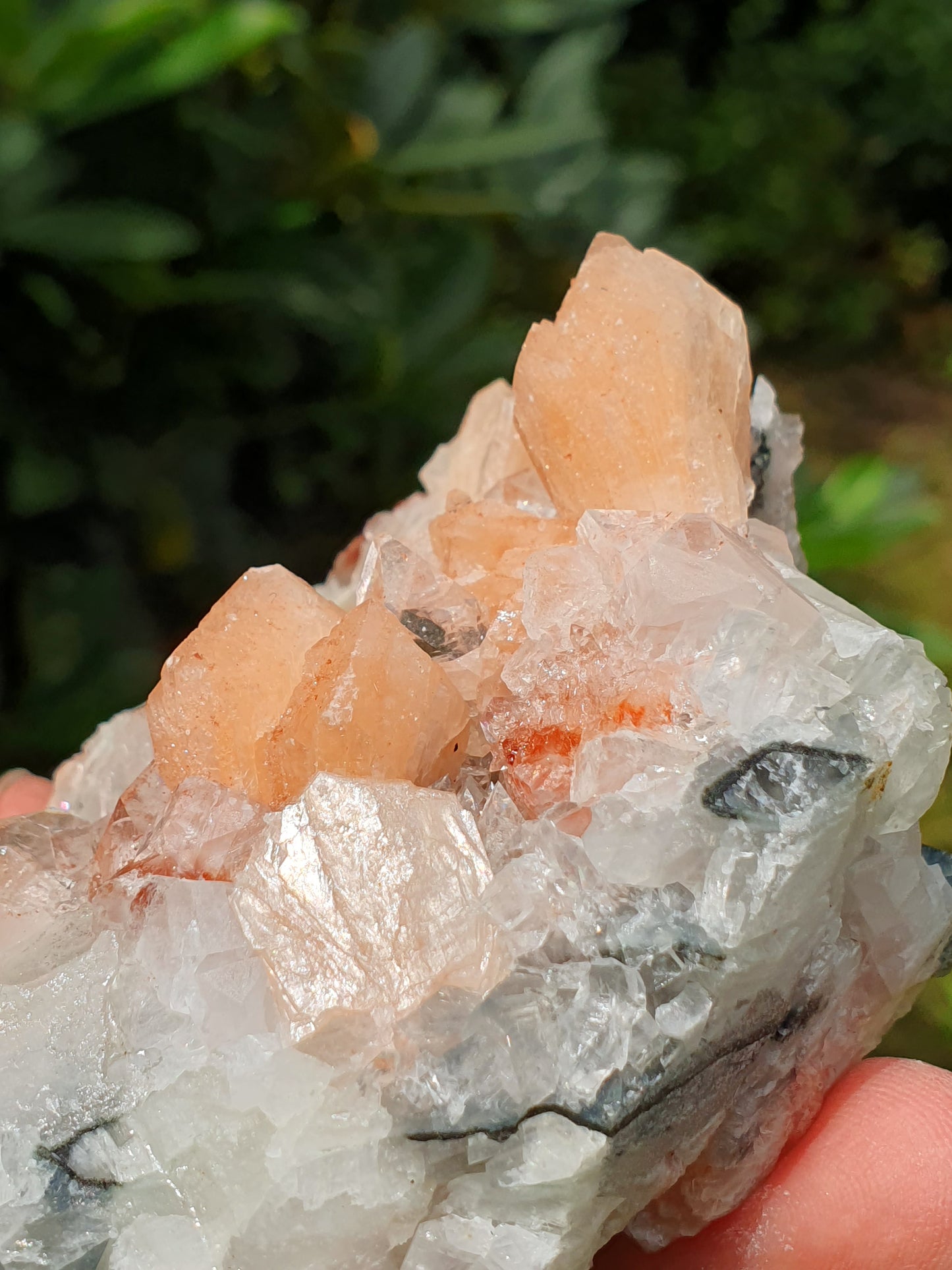 Apophyllite et stilbite sur Calcédoine A2