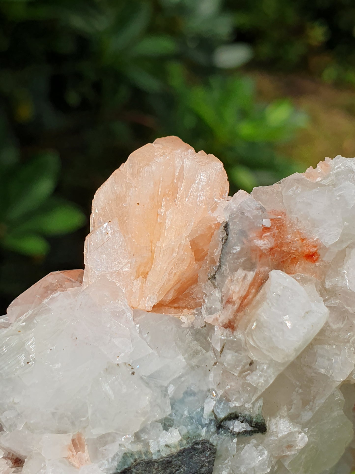 Apophyllite et stilbite sur Calcédoine A2