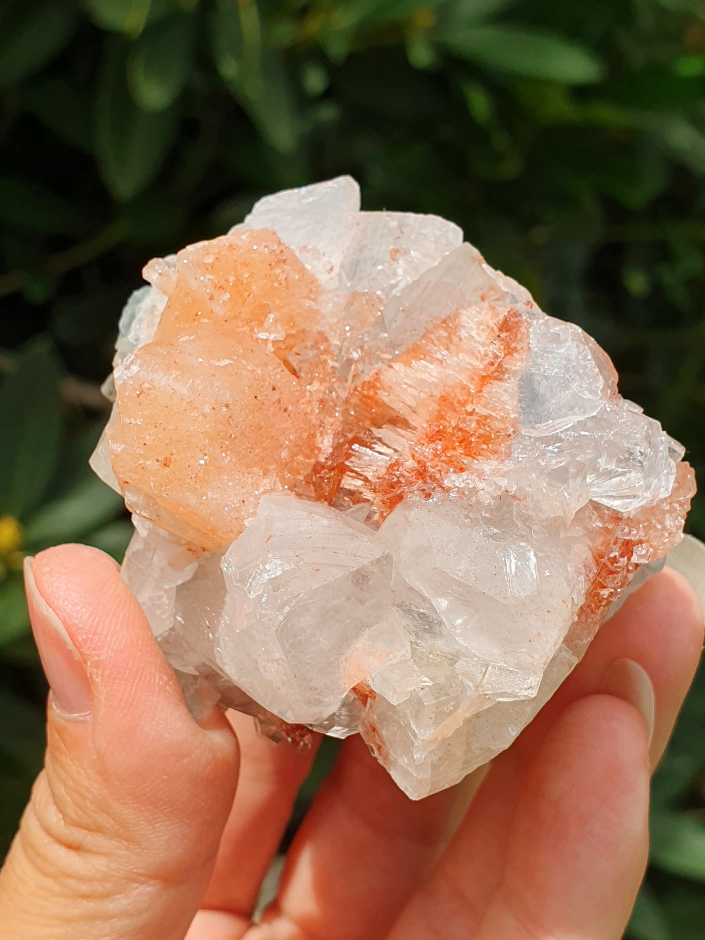 Apophyllite et stilbite sur Calcédoine A1