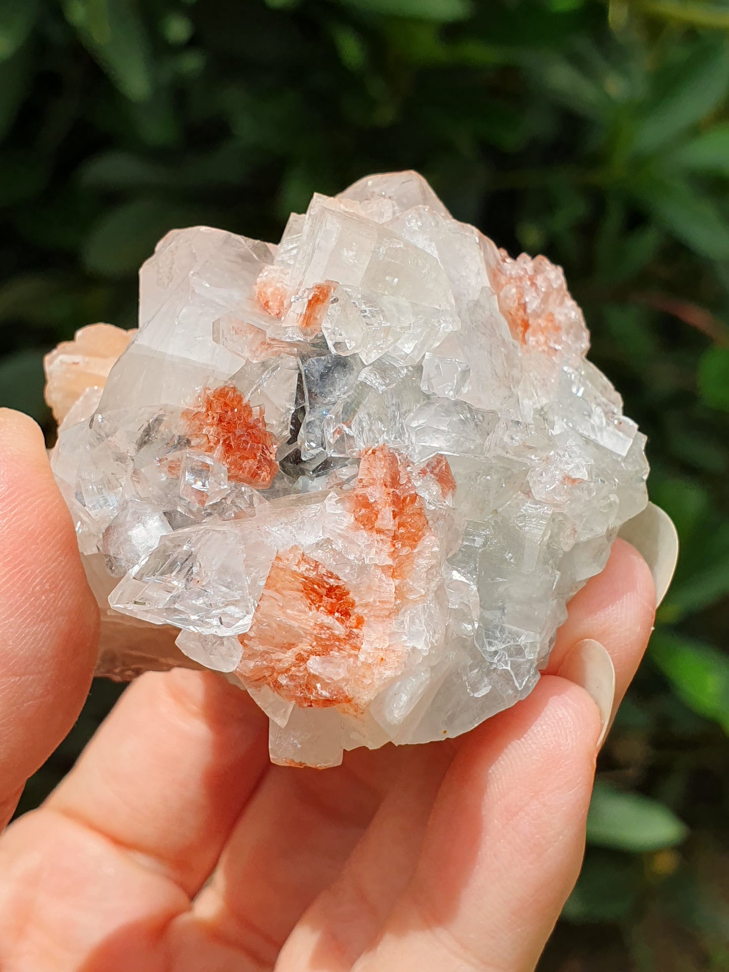 Apophyllite et stilbite sur Calcédoine A1