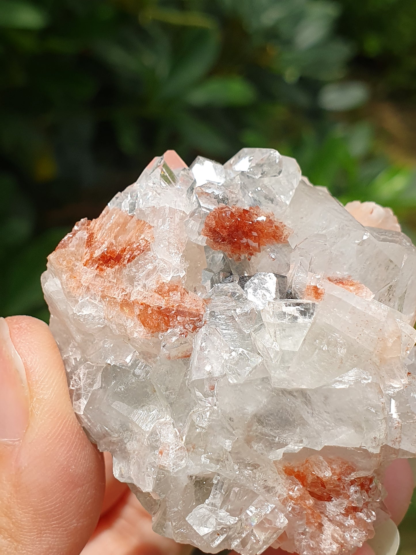 Apophyllite et stilbite sur Calcédoine A1