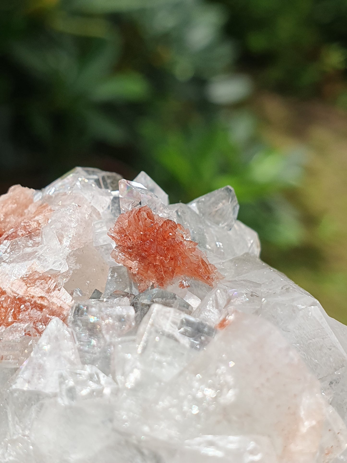 Apophyllite et stilbite sur Calcédoine A1