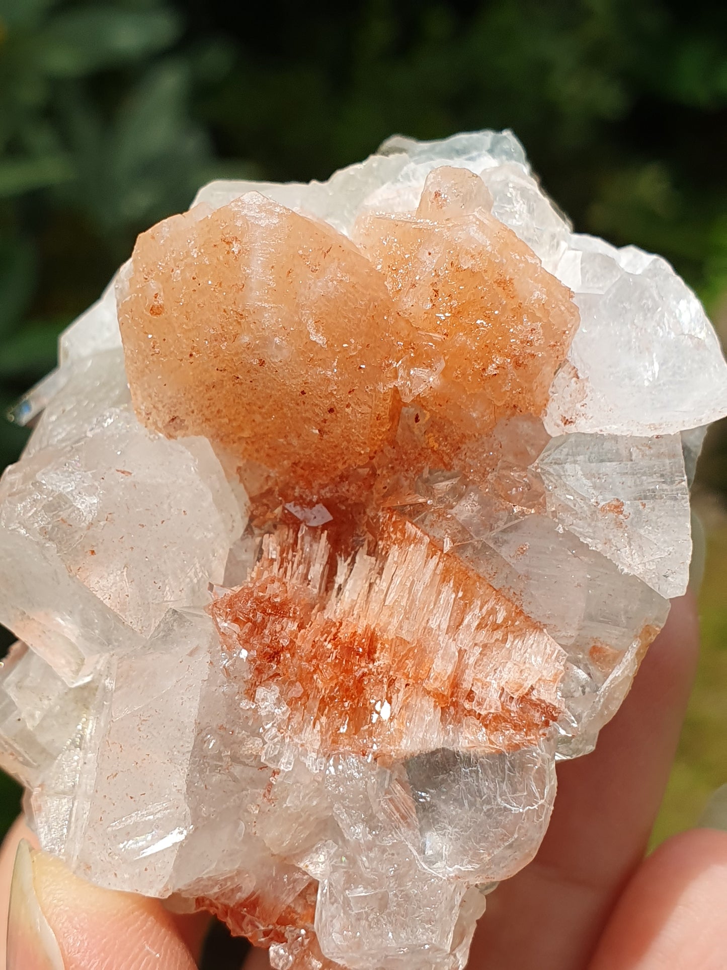 Apophyllite et stilbite sur Calcédoine A1