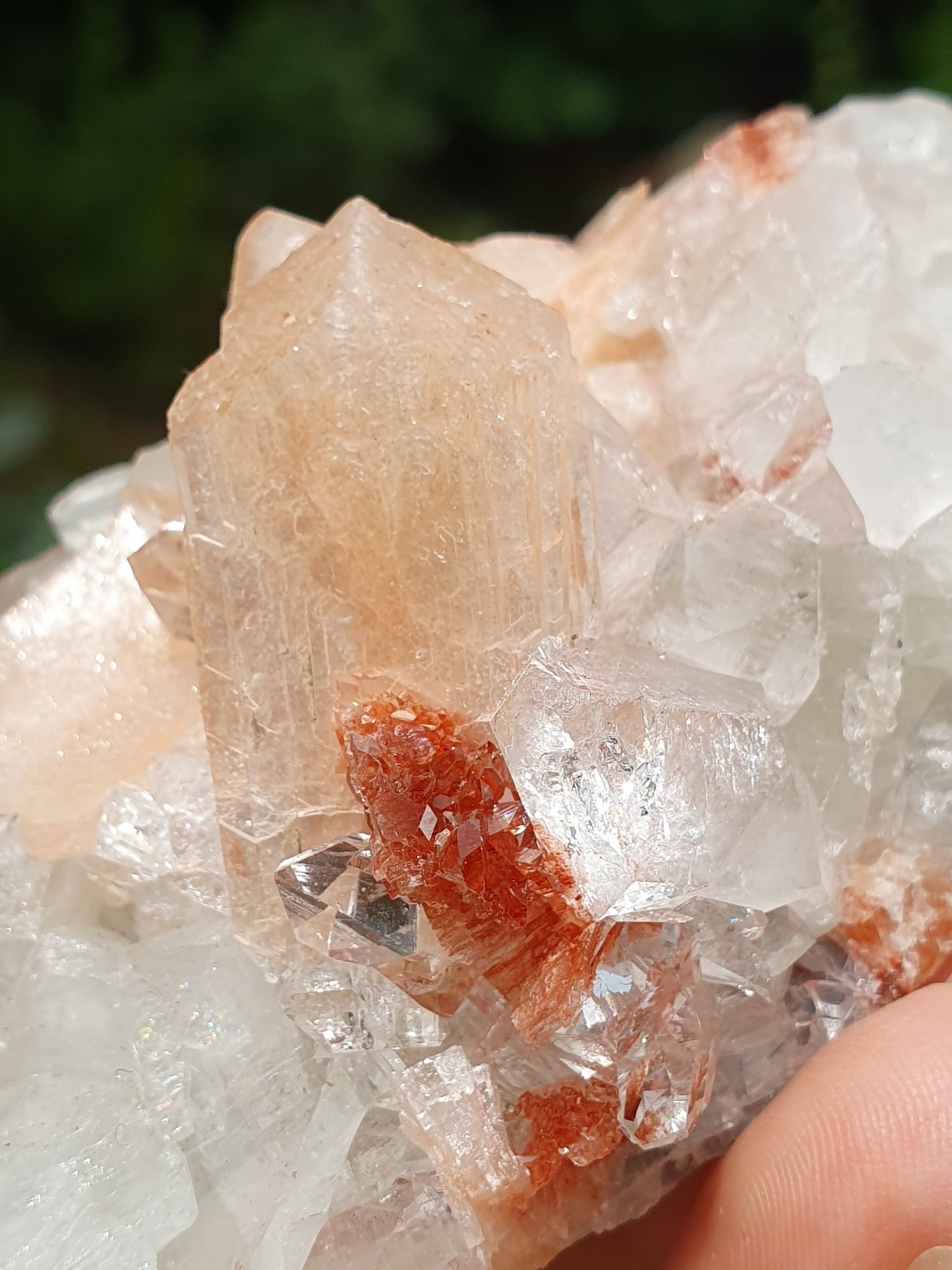 Apophyllite et stilbite sur Calcédoine A4