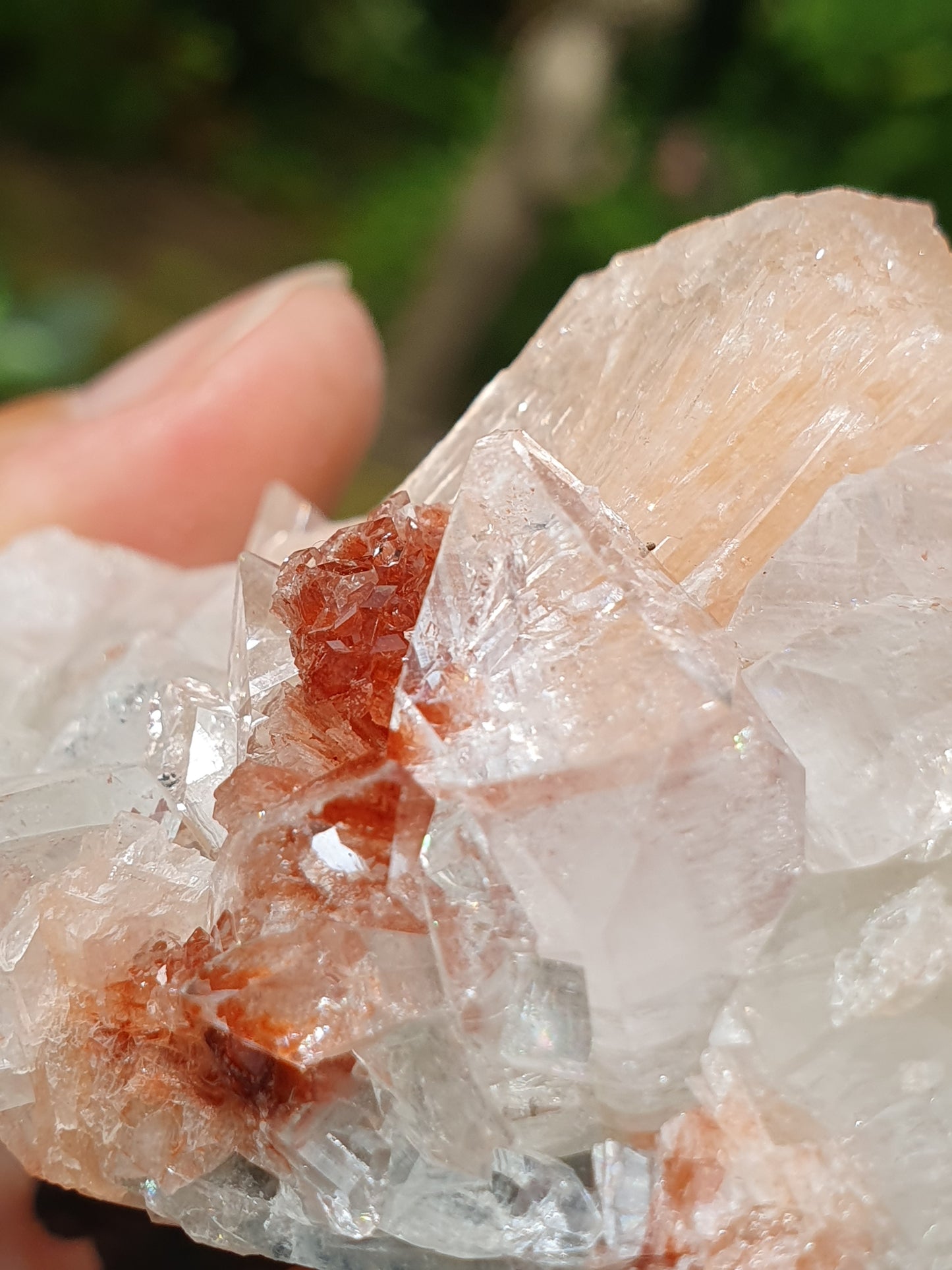 Apophyllite et stilbite sur Calcédoine A4