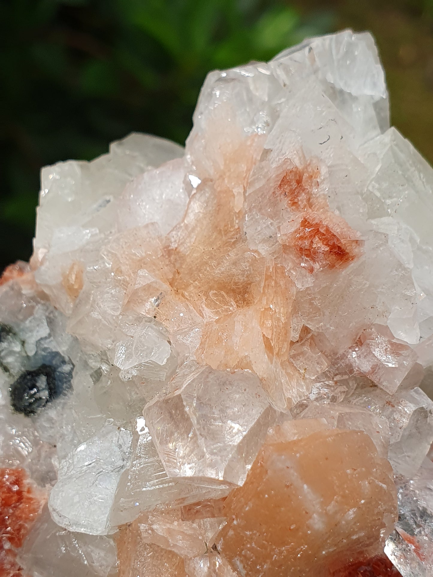 Apophyllite et stilbite sur Calcédoine A4