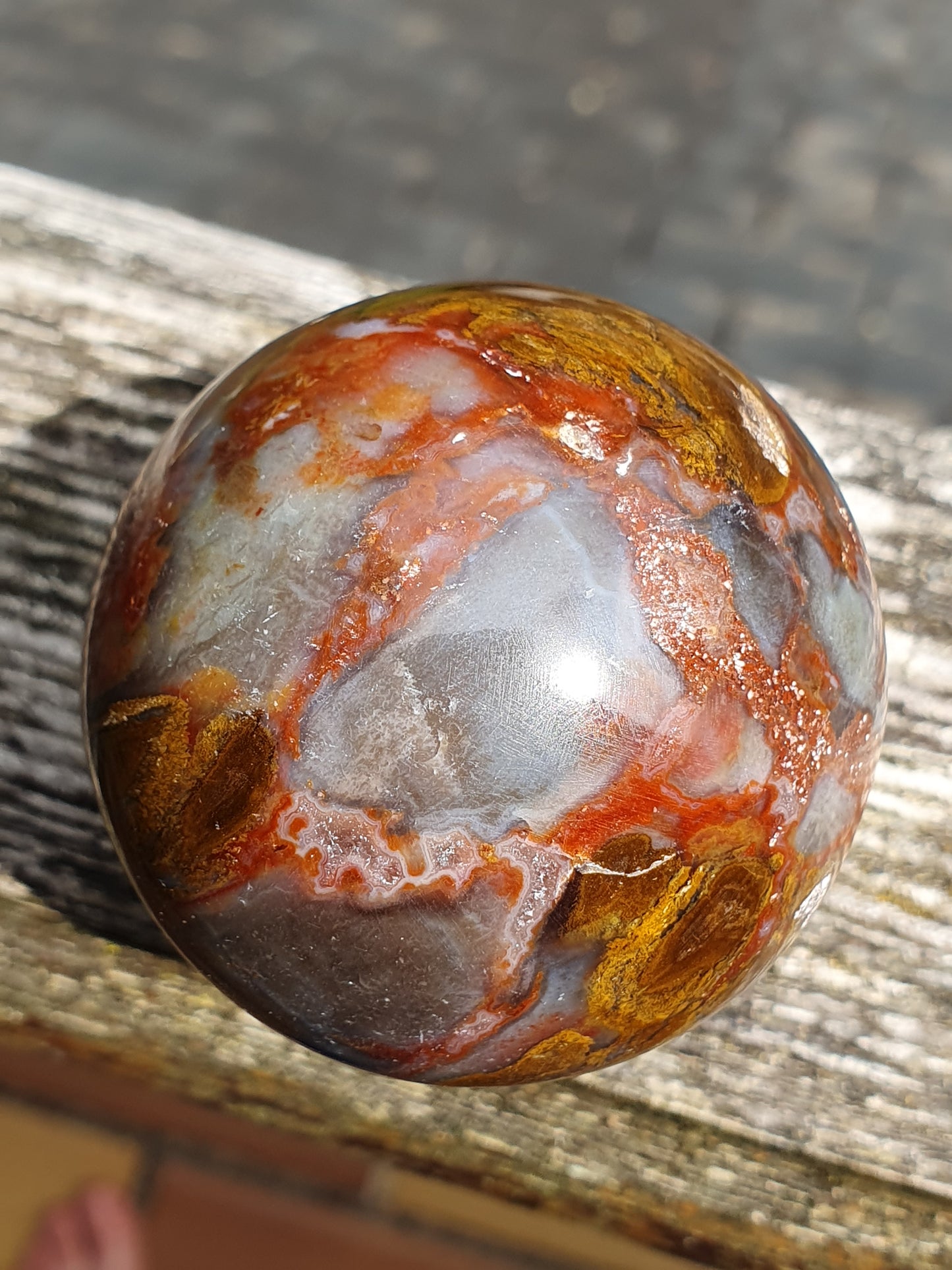 Sphère Bois fossile B1