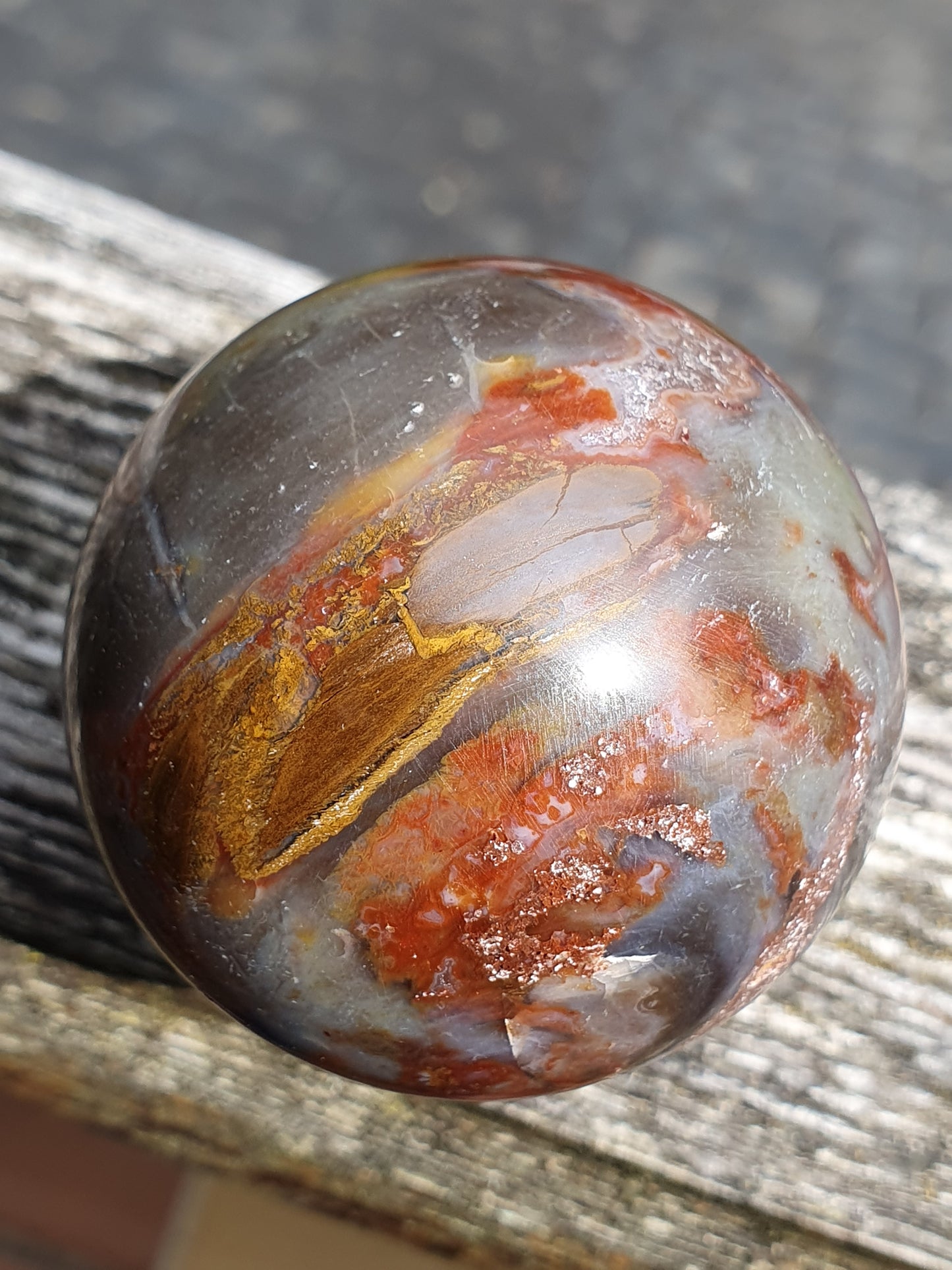 Sphère Bois fossile B1