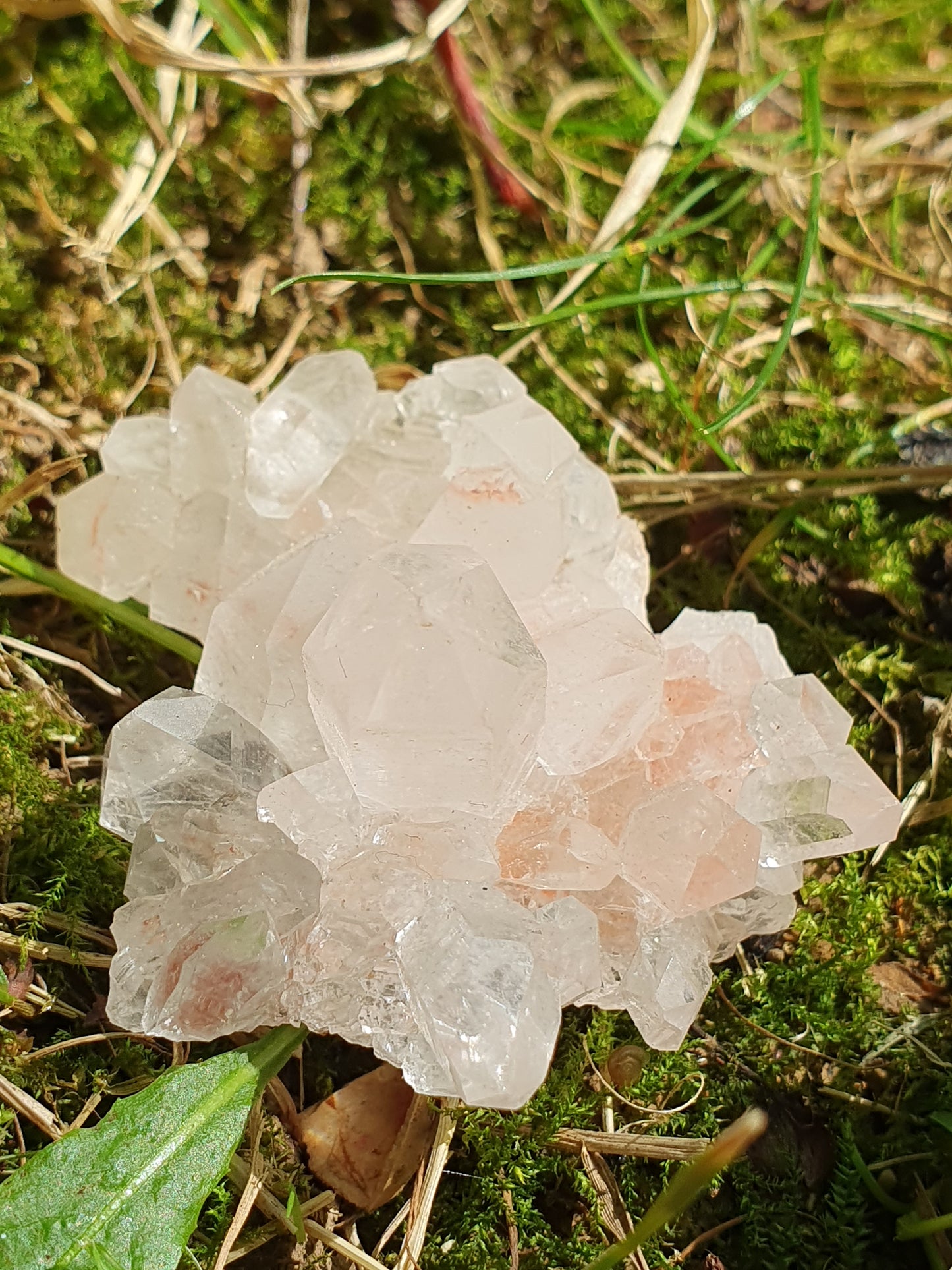 Quartz Himalaya rose QH15