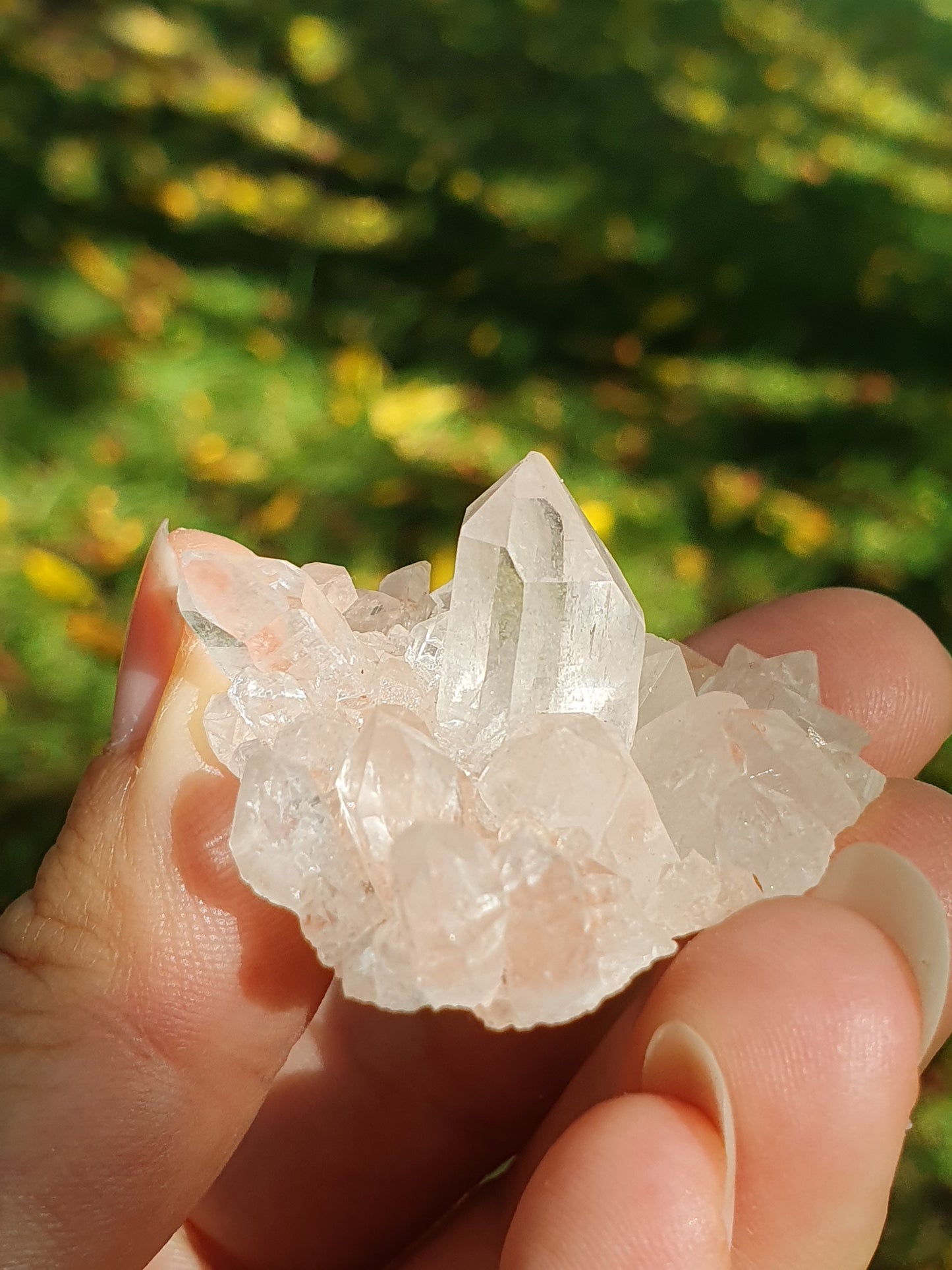 Quartz Himalaya rose QH15