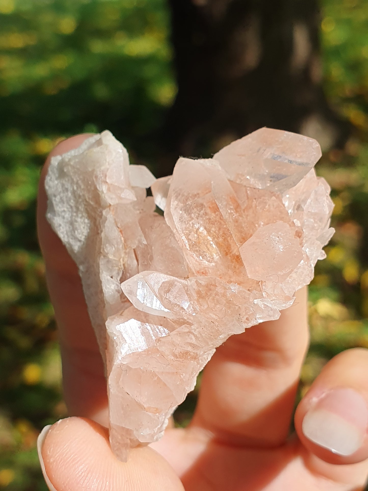 Quartz Himalaya rose QH14