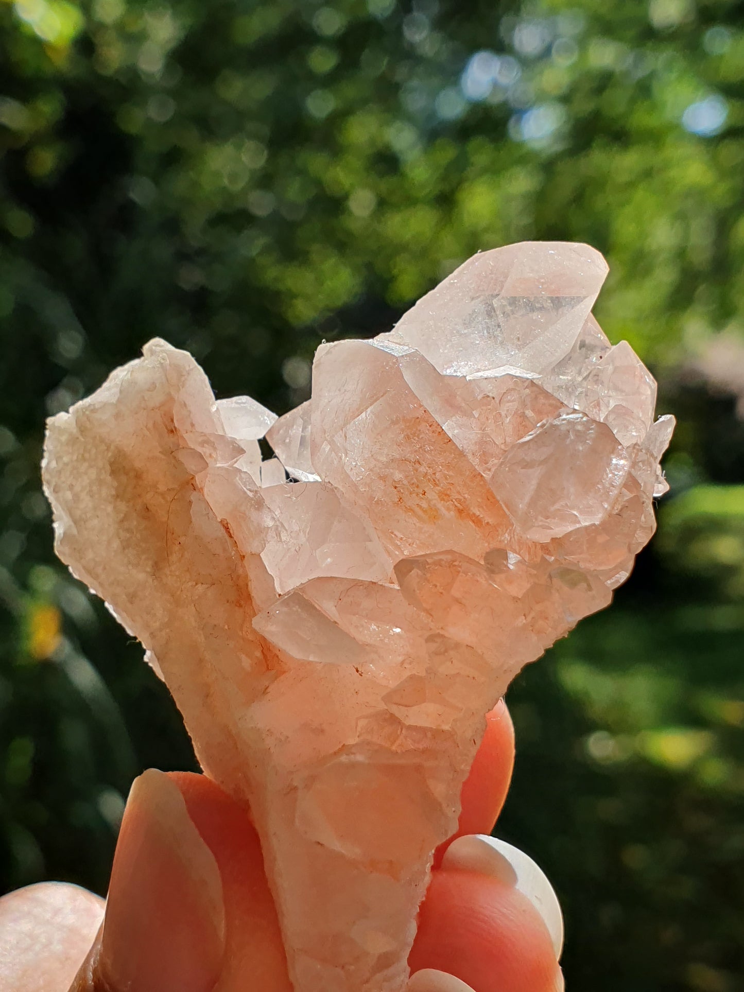 Quartz Himalaya rose QH14