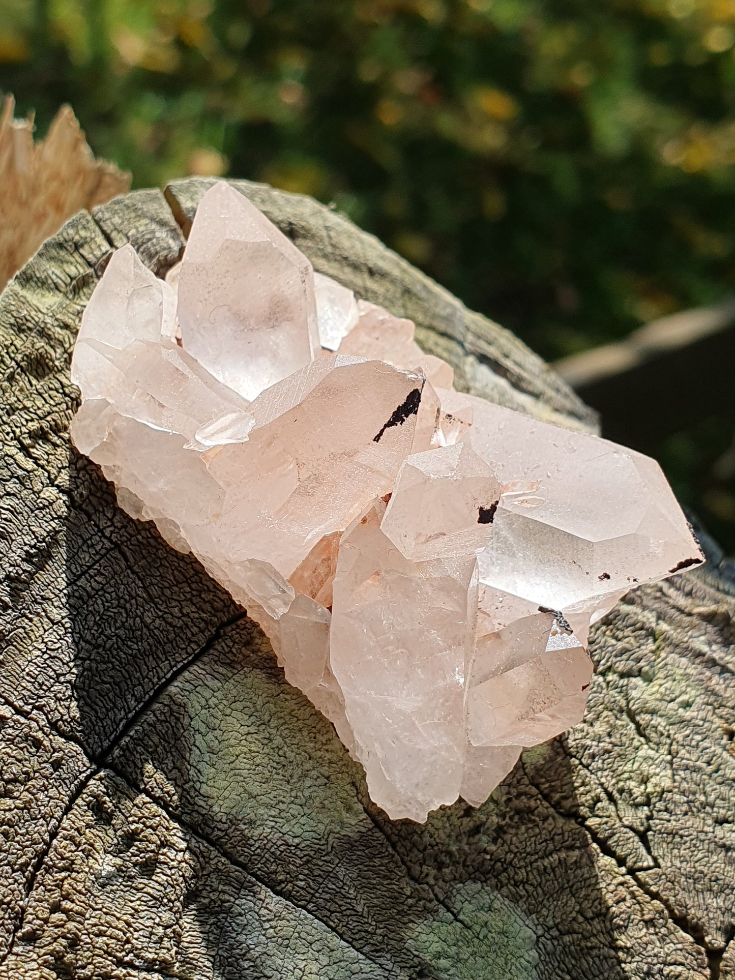 Quartz Himalaya rose QH7