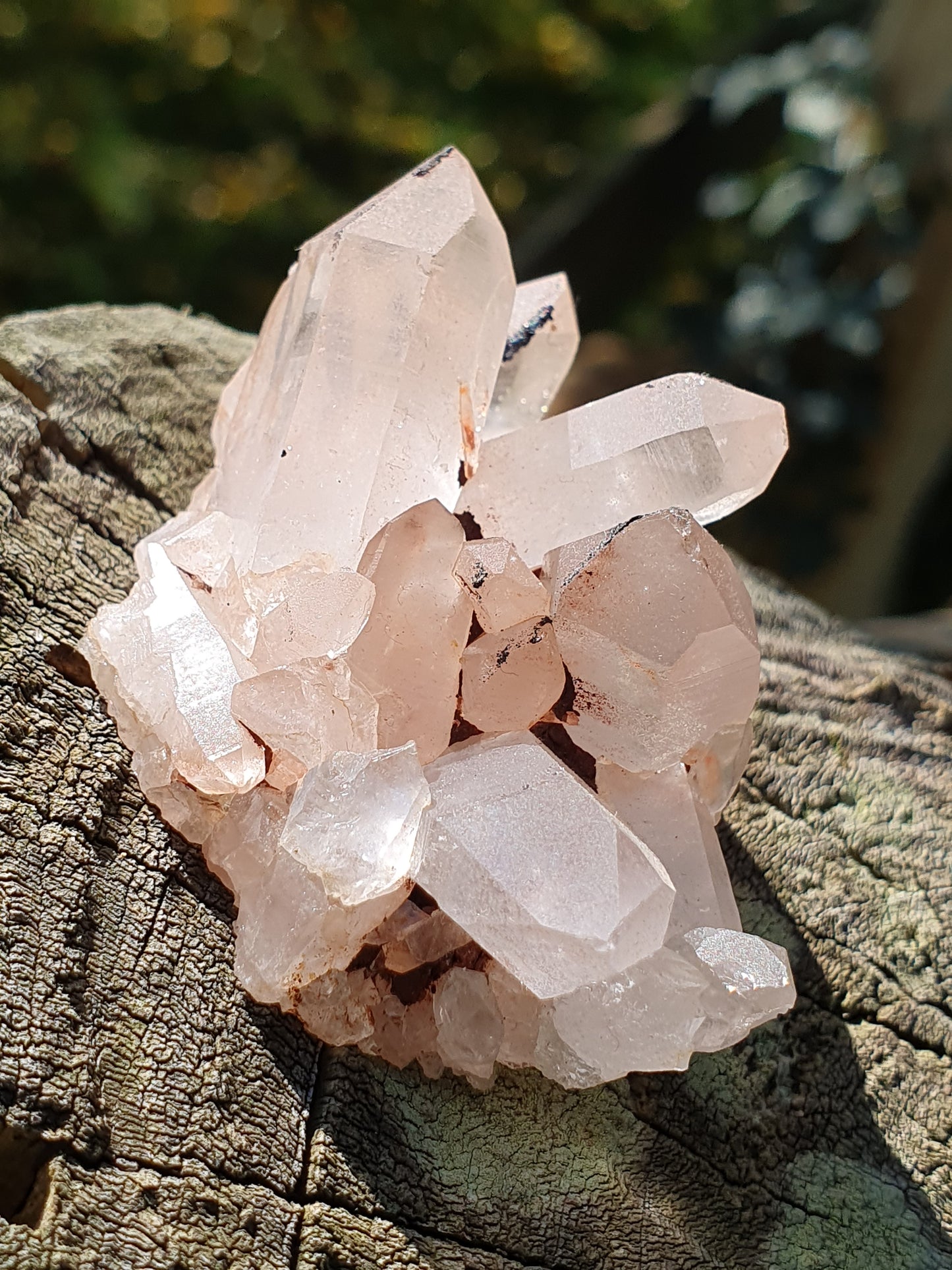 Quartz Himalaya rose QH7