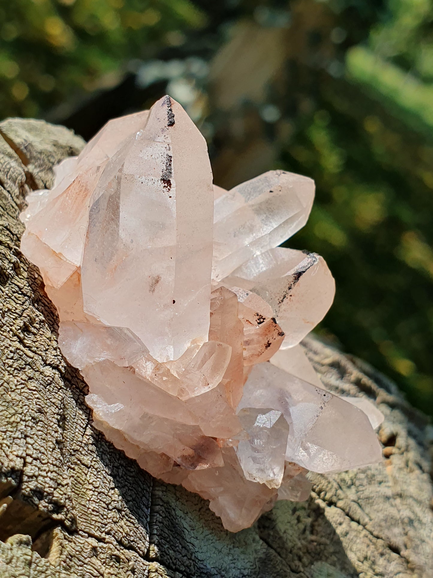 Quartz Himalaya rose QH7