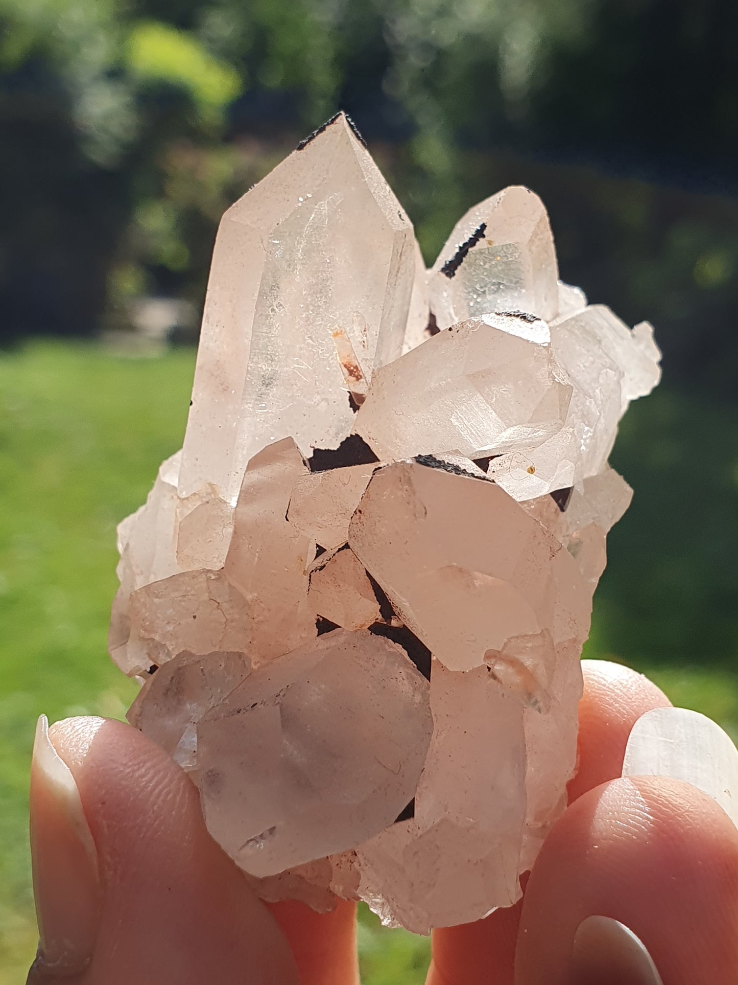 Quartz Himalaya rose QH7