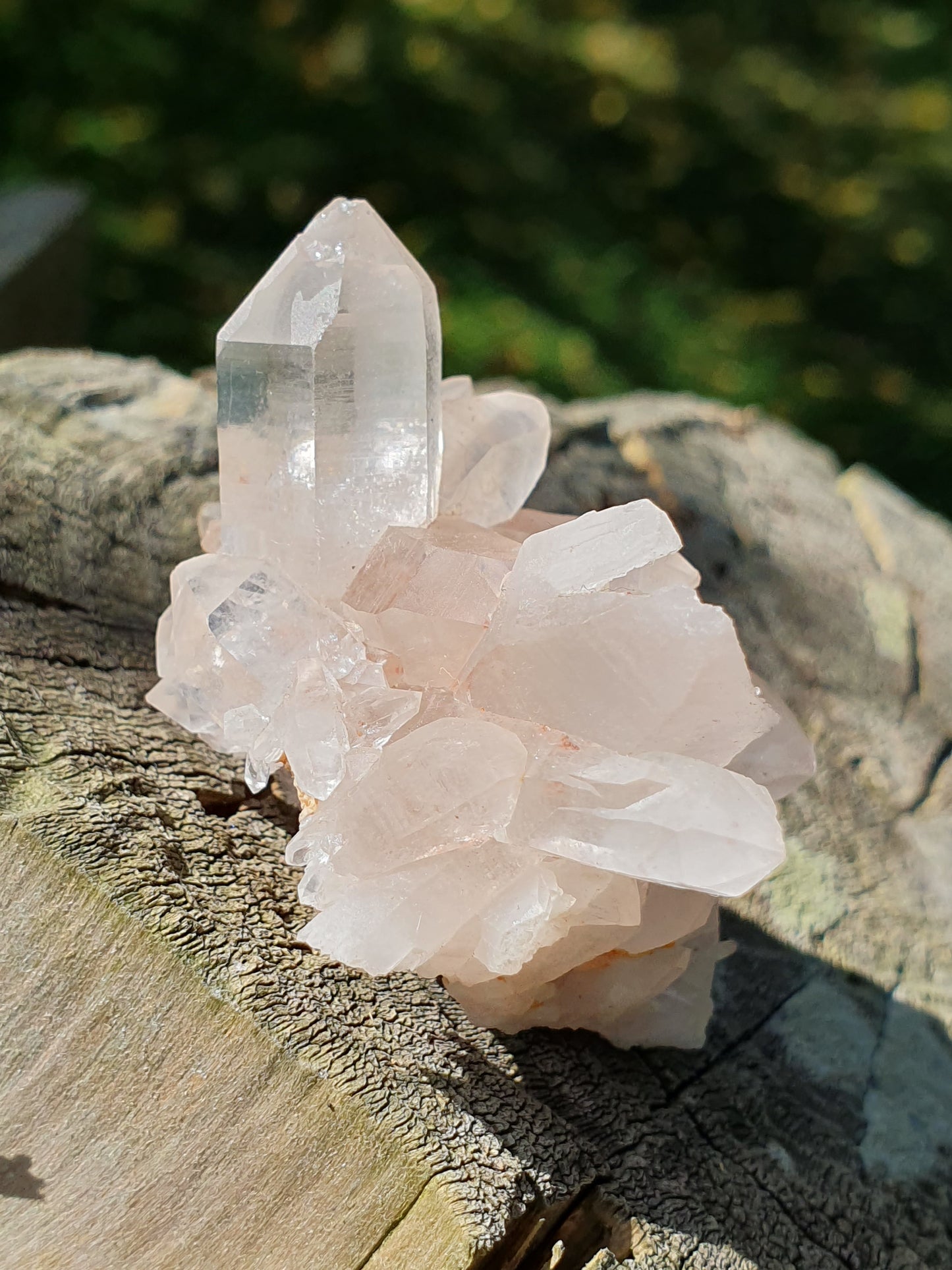 Quartz Himalaya rose QH6