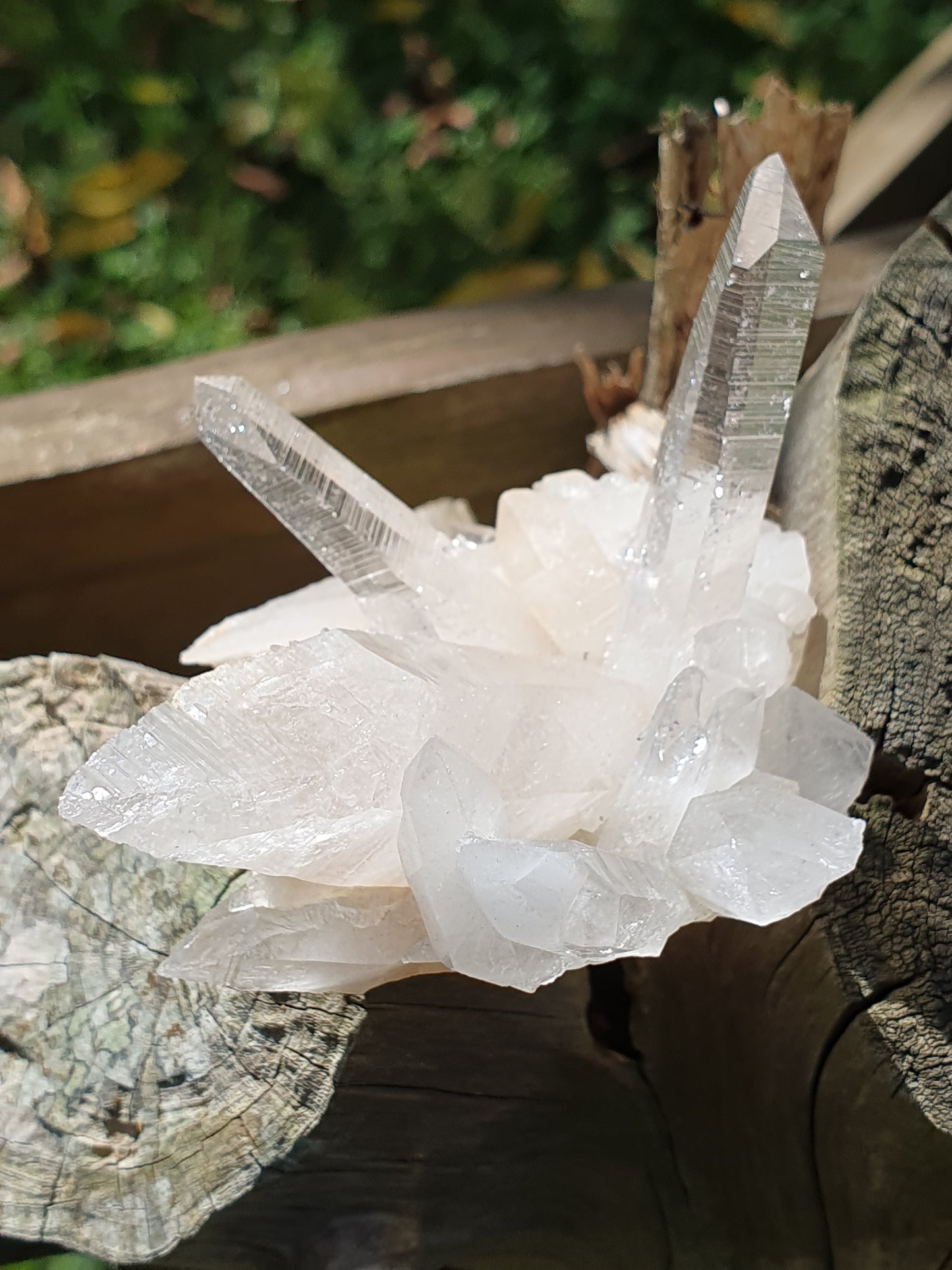 Quartz Himalaya QH25