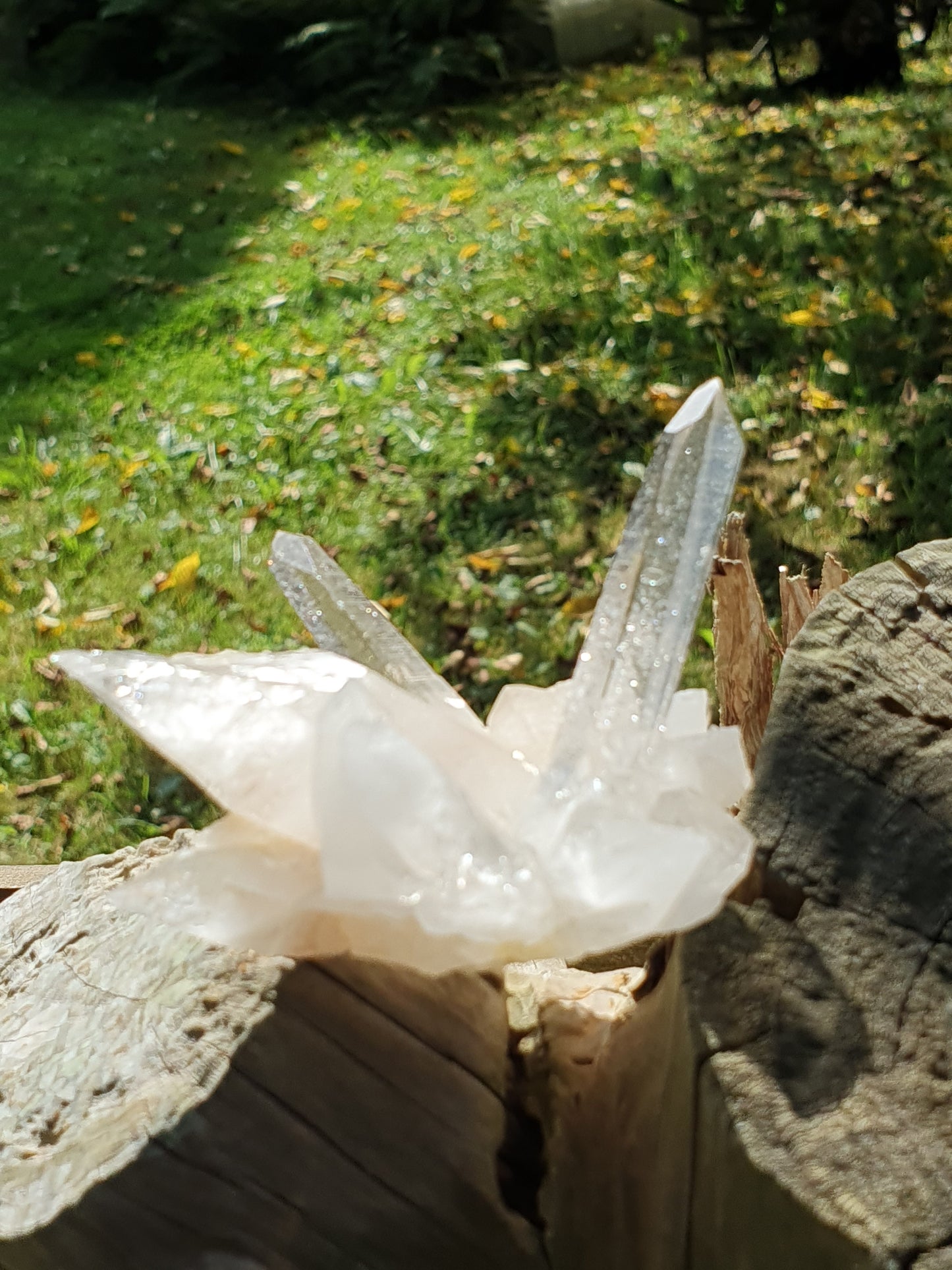 Quartz Himalaya QH25