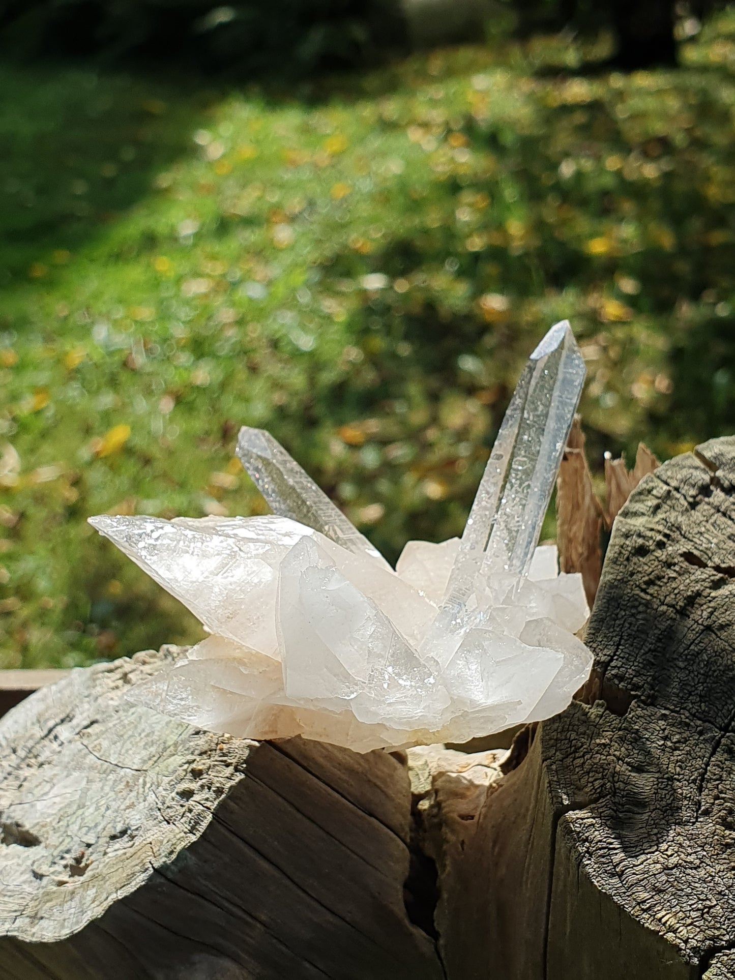 Quartz Himalaya QH25