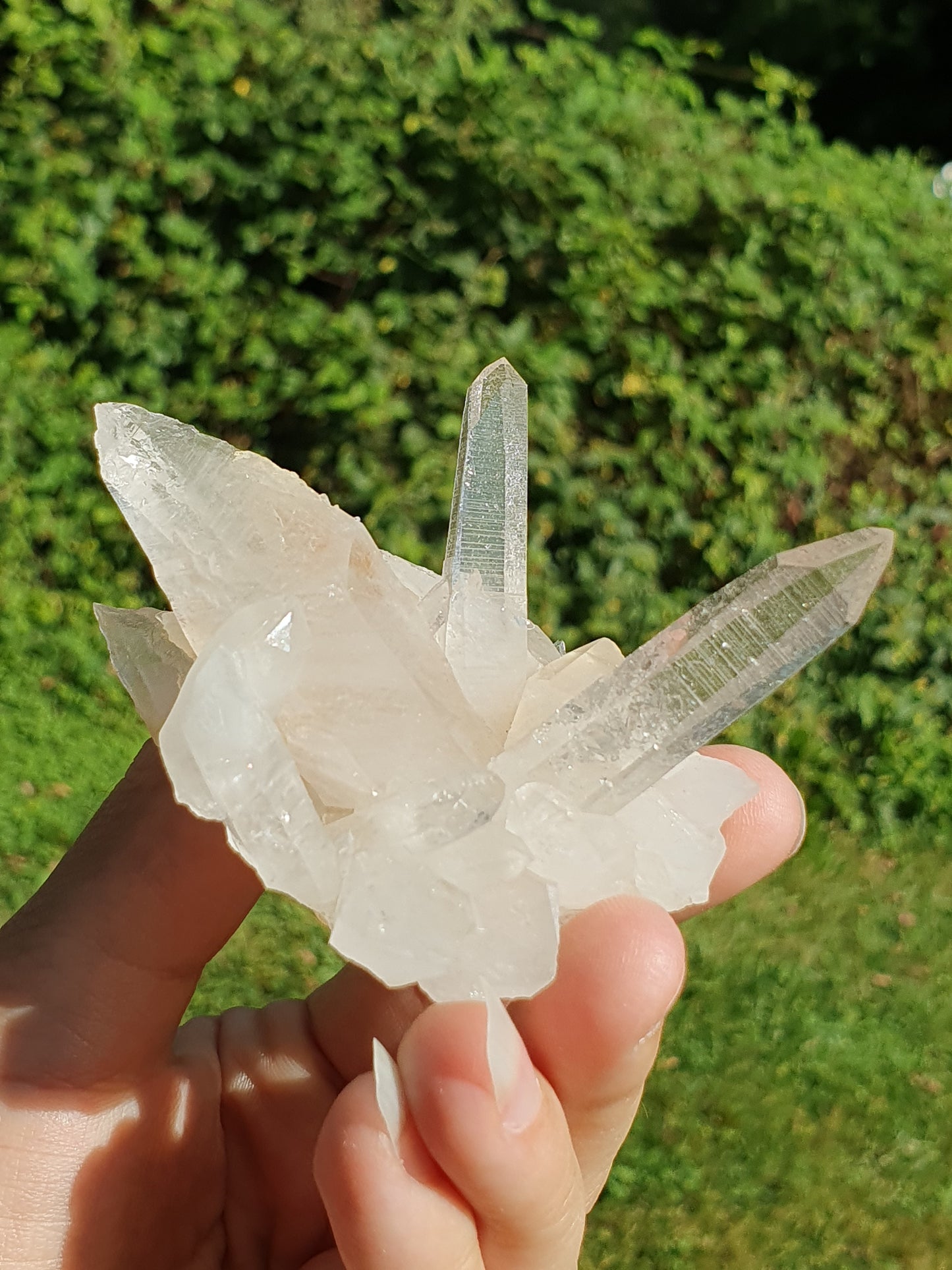 Quartz Himalaya QH25