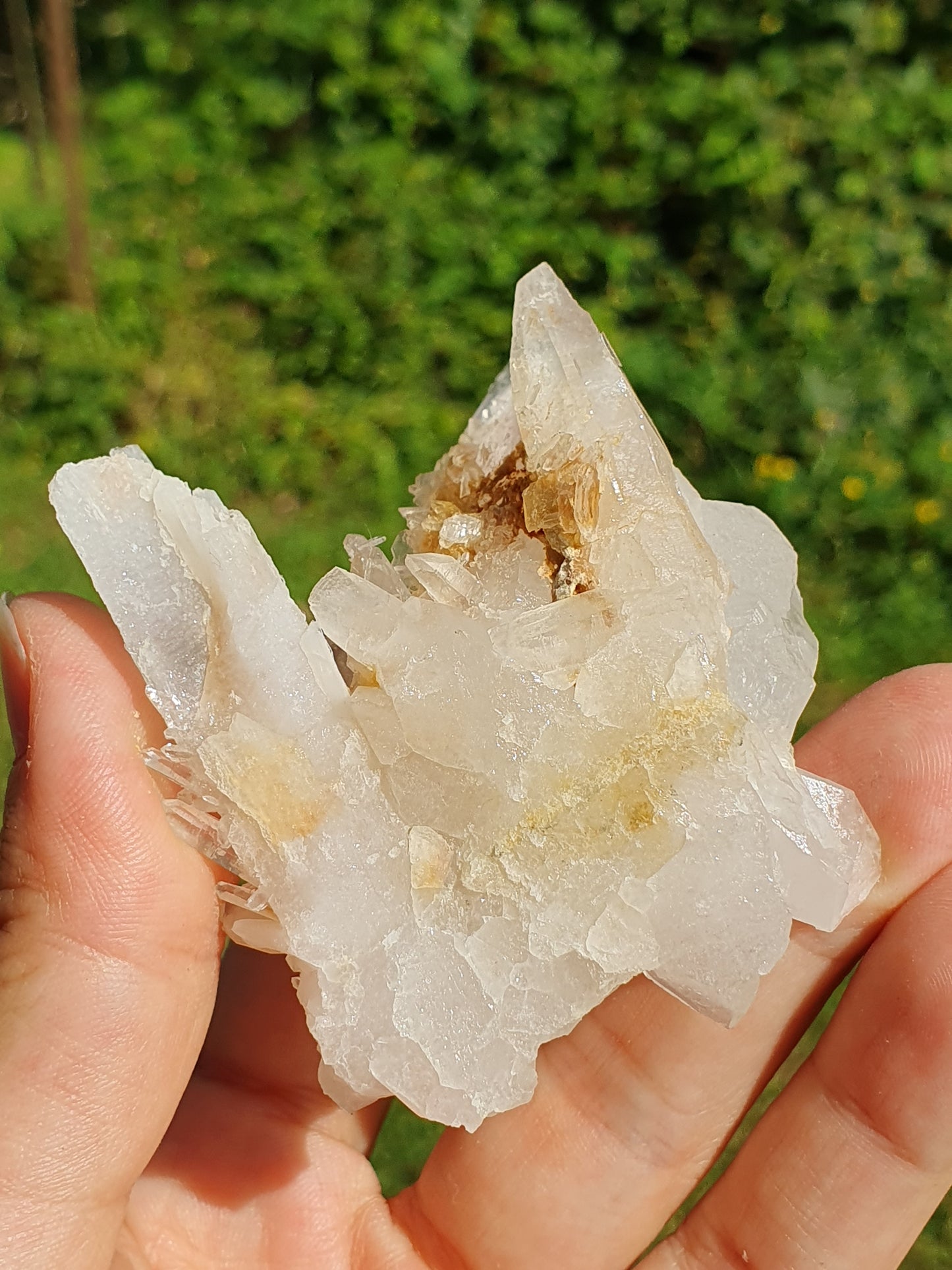 Quartz Himalaya QH25