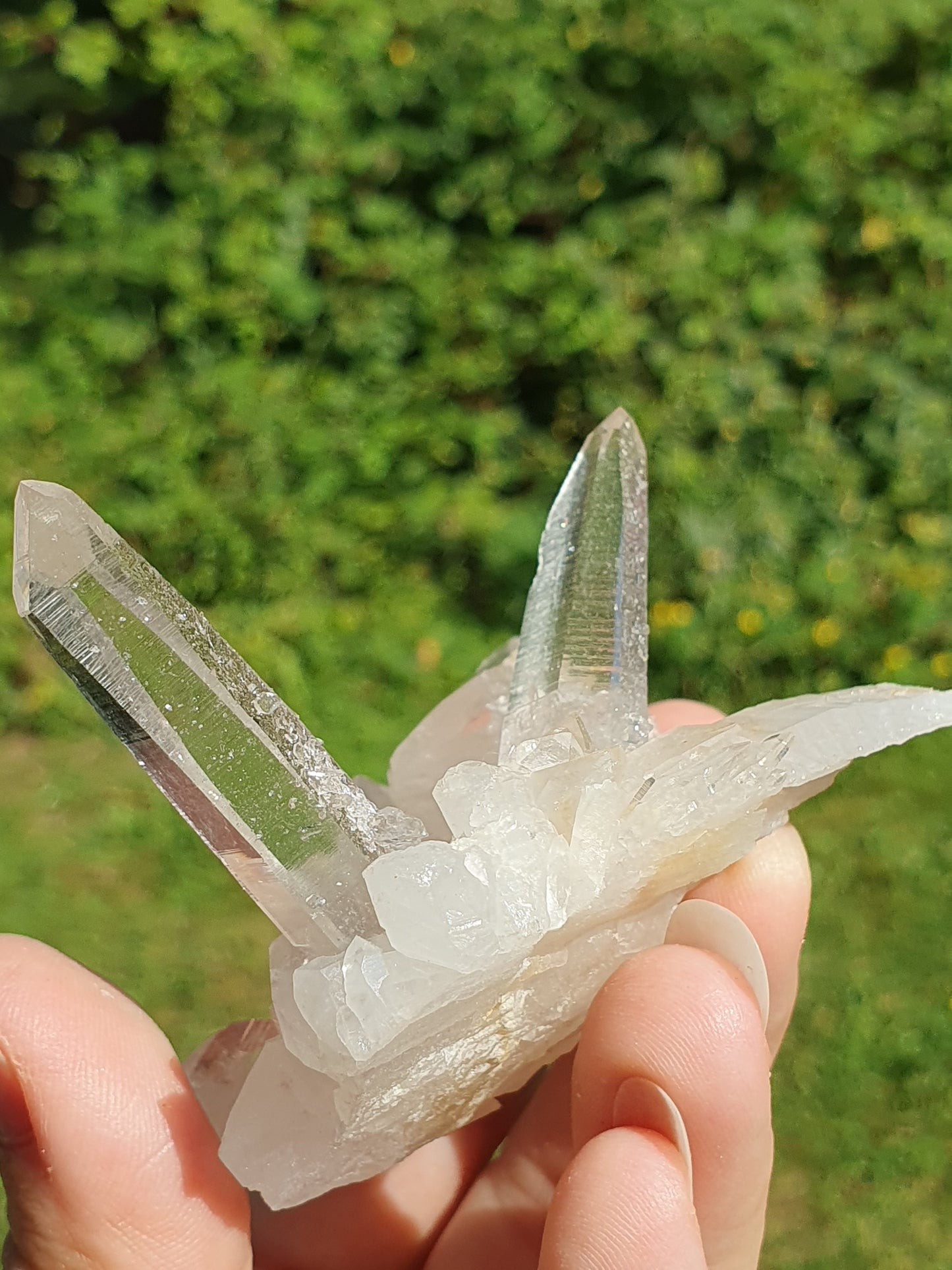 Quartz Himalaya QH25