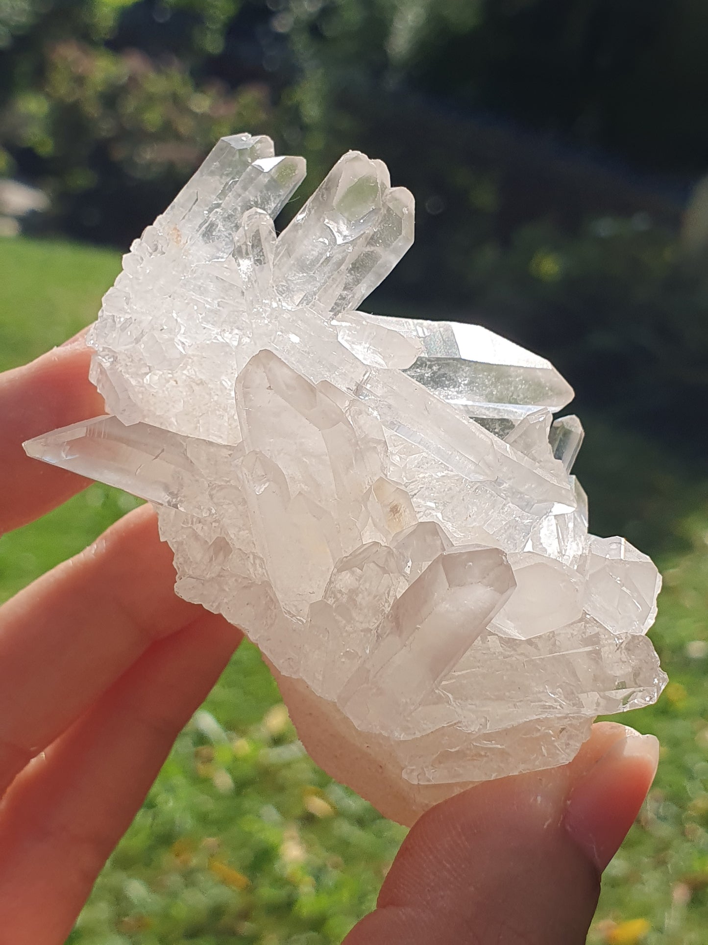 Quartz Himalaya QH29