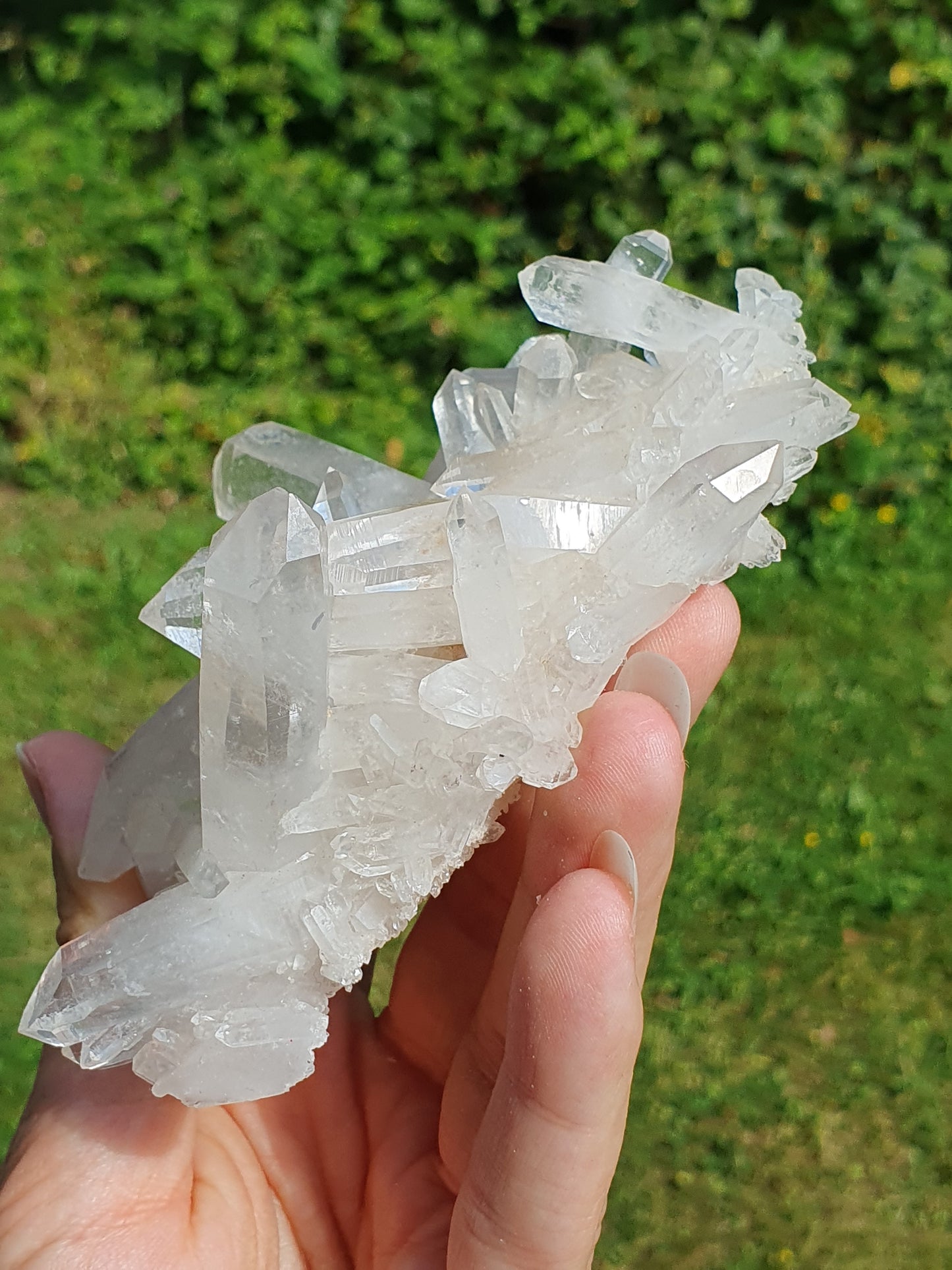 Quartz Himalaya QH22