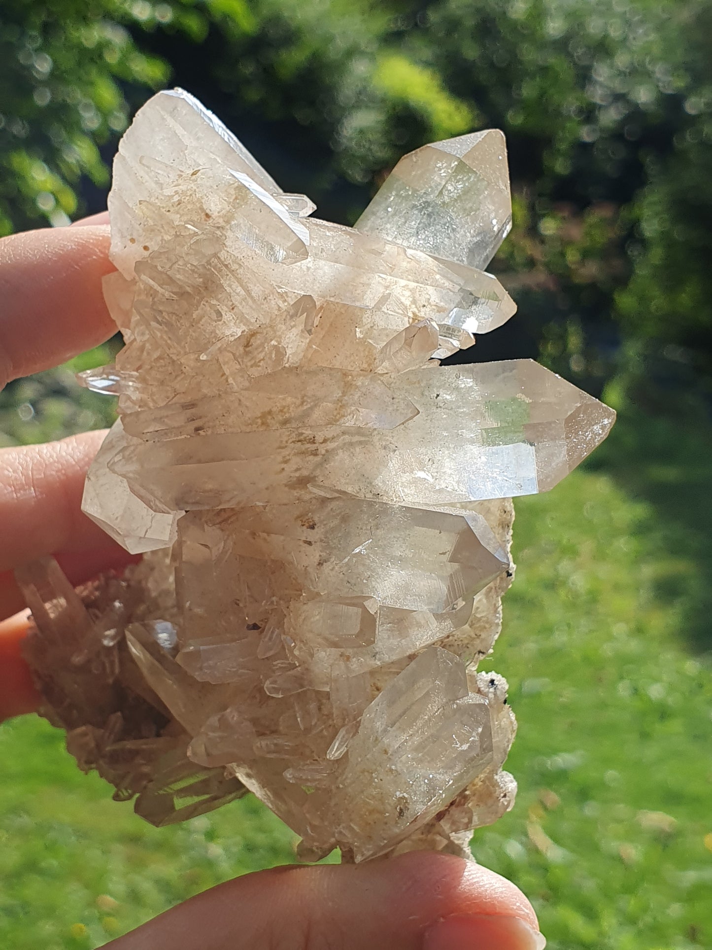 Quartz Himalaya QH20