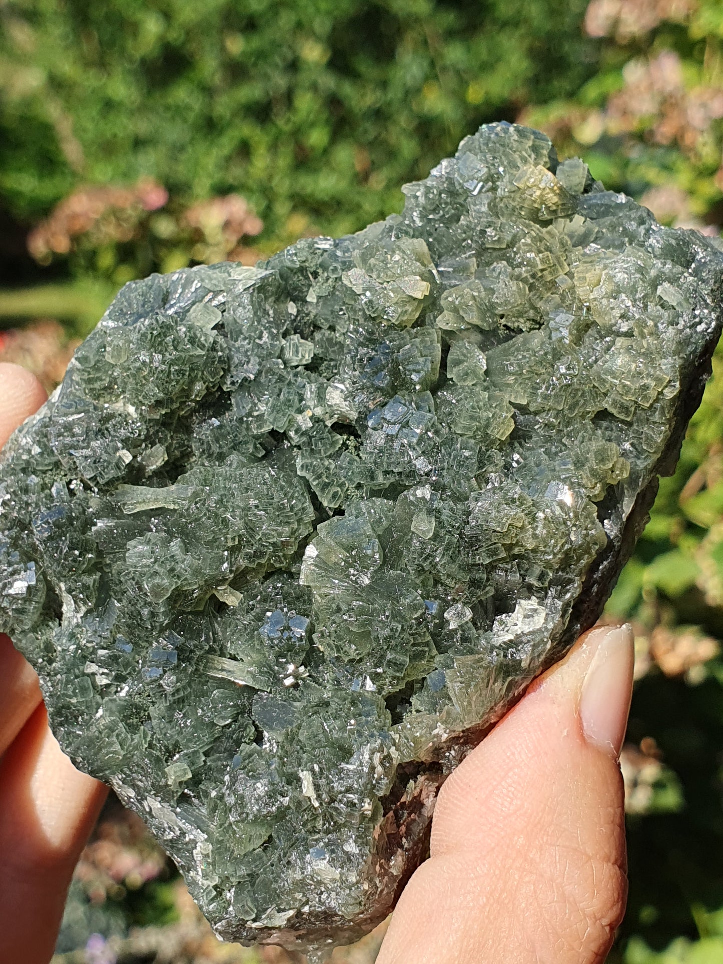 Prehnite brute PR1