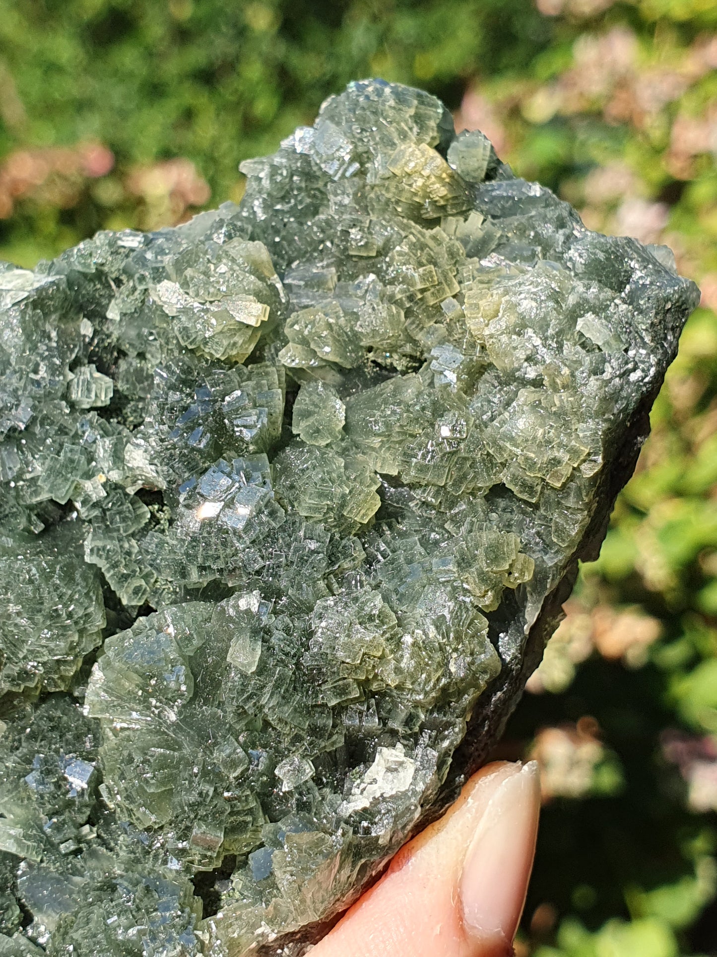 Prehnite brute PR1