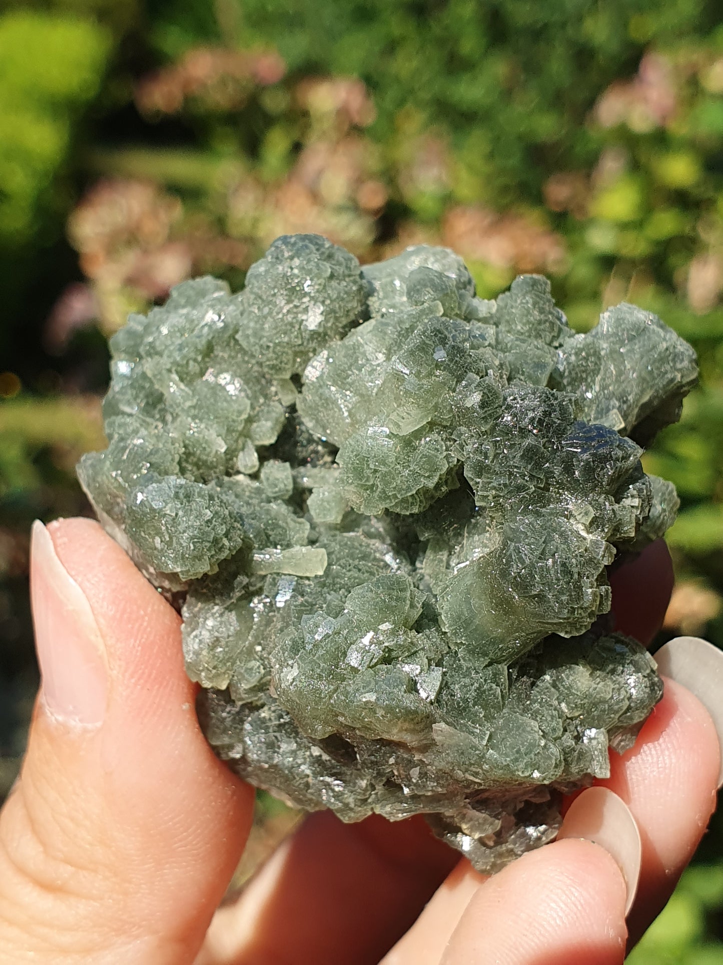 Prehnite brute PR2
