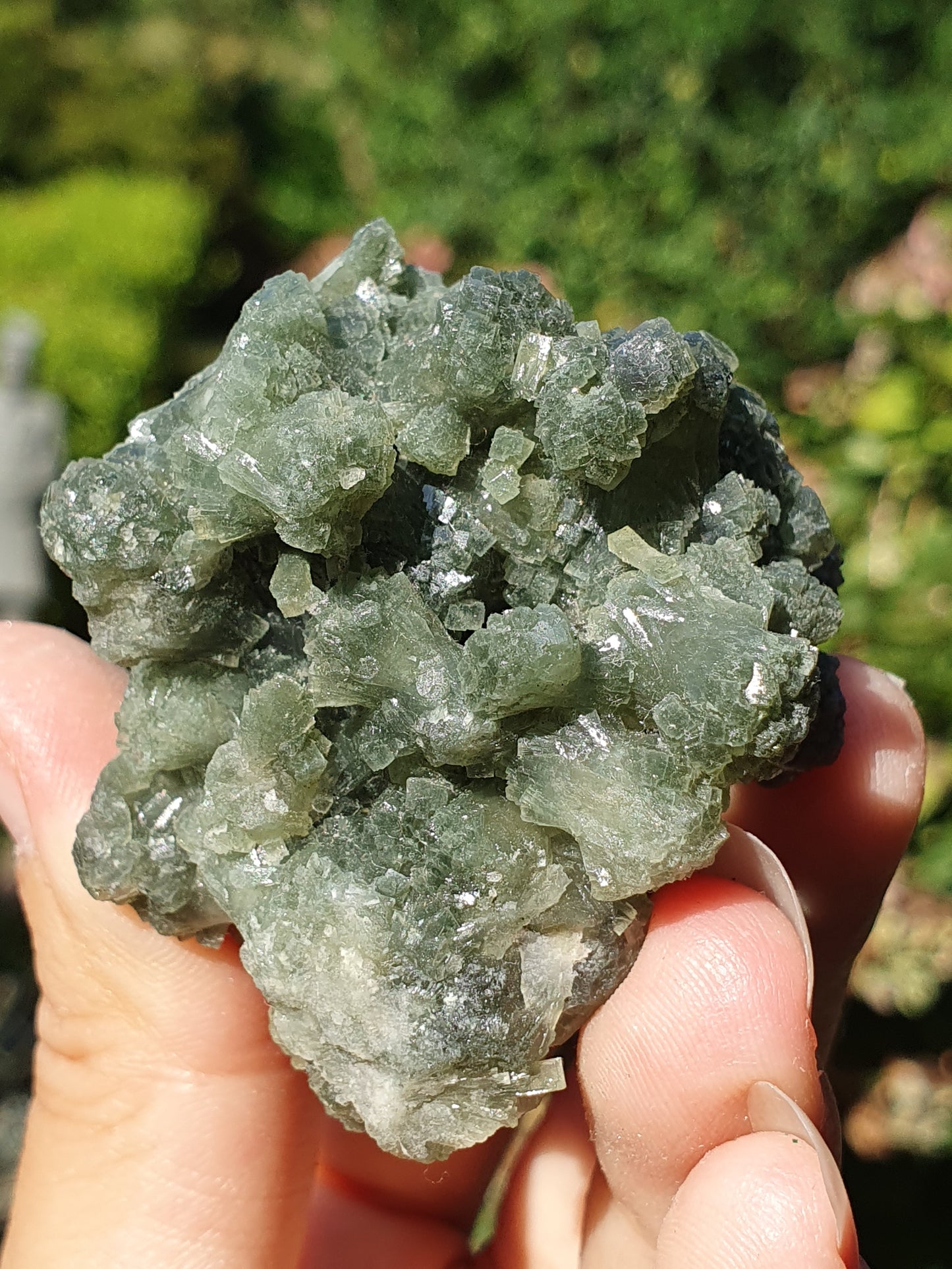Prehnite brute PR2