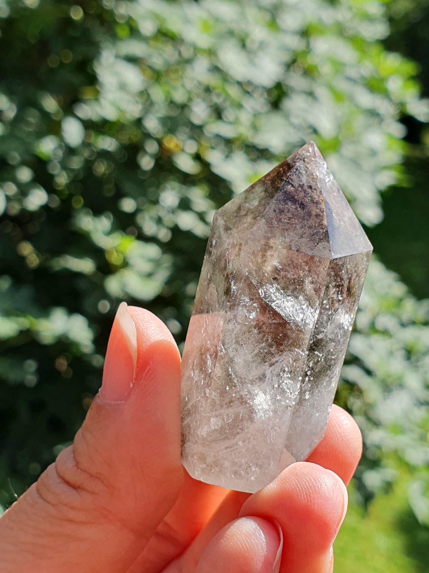 Pointe Quartz Chlorite A (Lodolite)