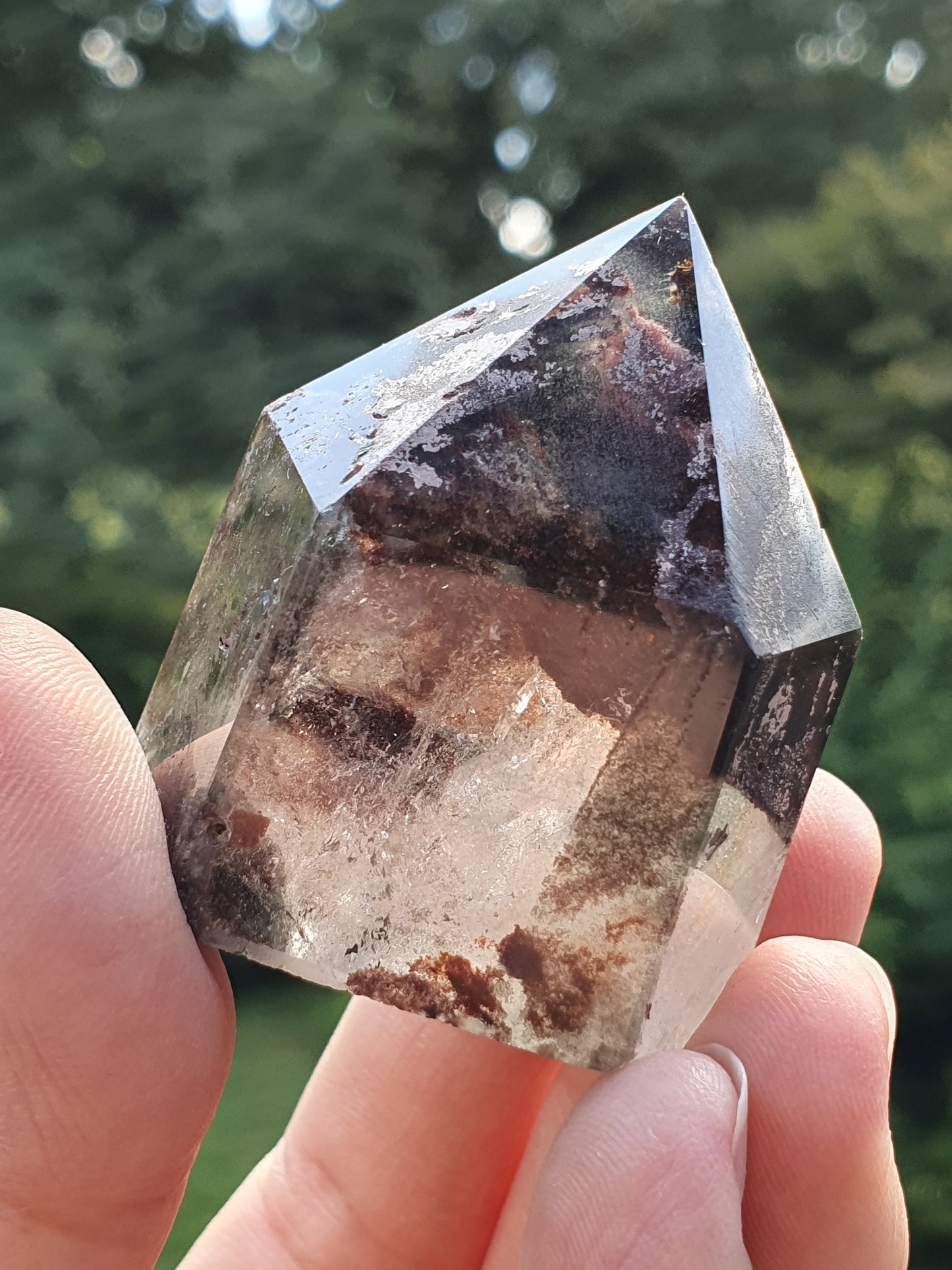 Pointe Quartz Chlorite B (Lodolite)