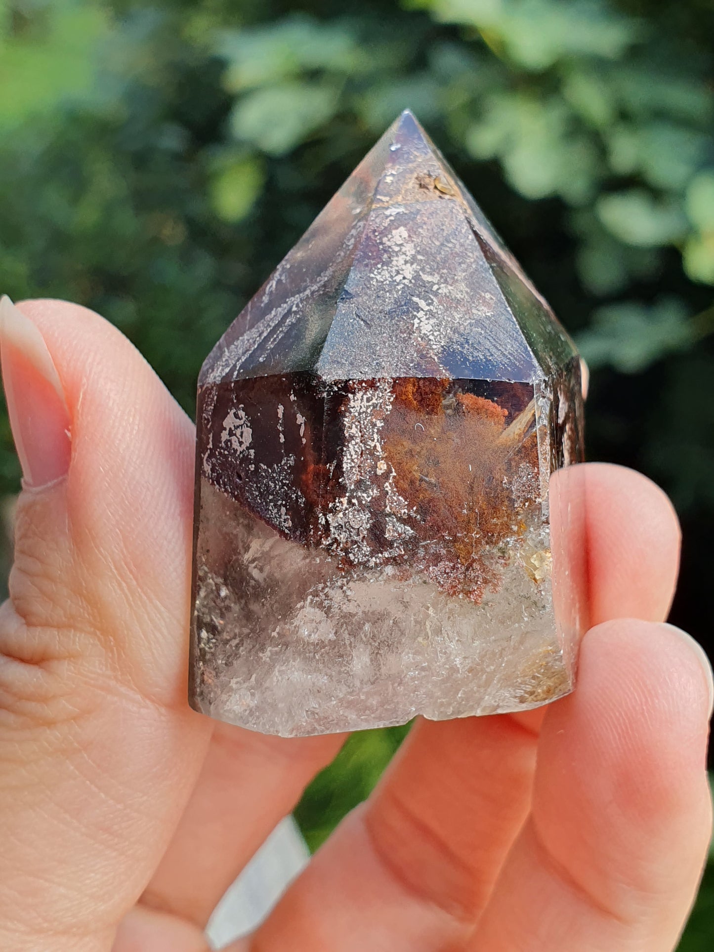 Pointe Quartz Chlorite B (Lodolite)
