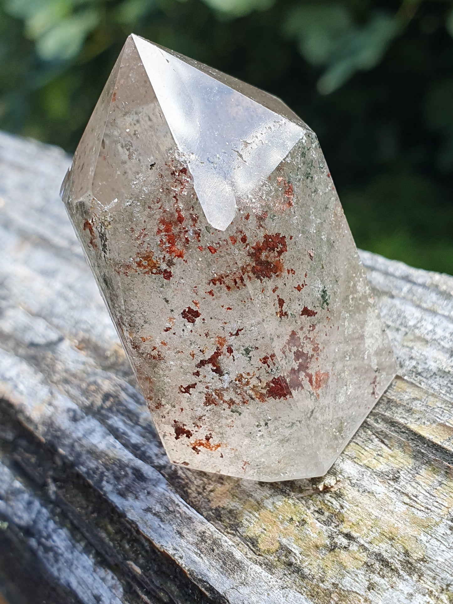 Pointe Quartz Chlorite C (Lodolite)