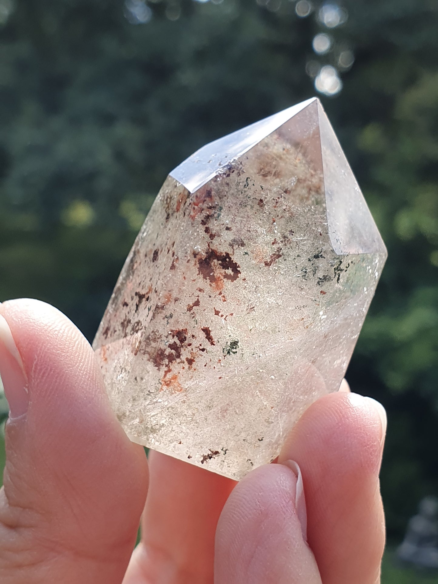 Pointe Quartz Chlorite C (Lodolite)