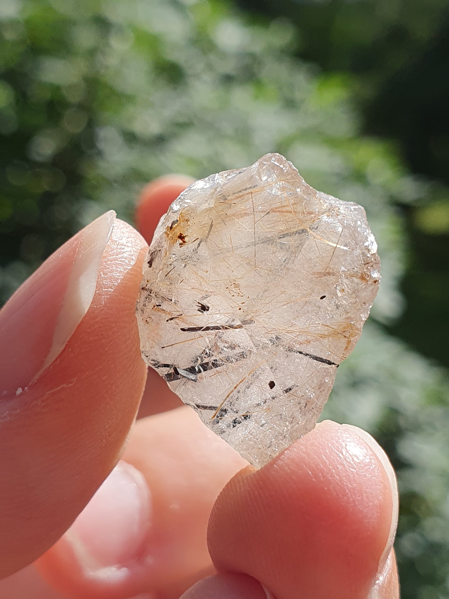 Quartz inclusions rutile et tourmaline noire (à choisir)