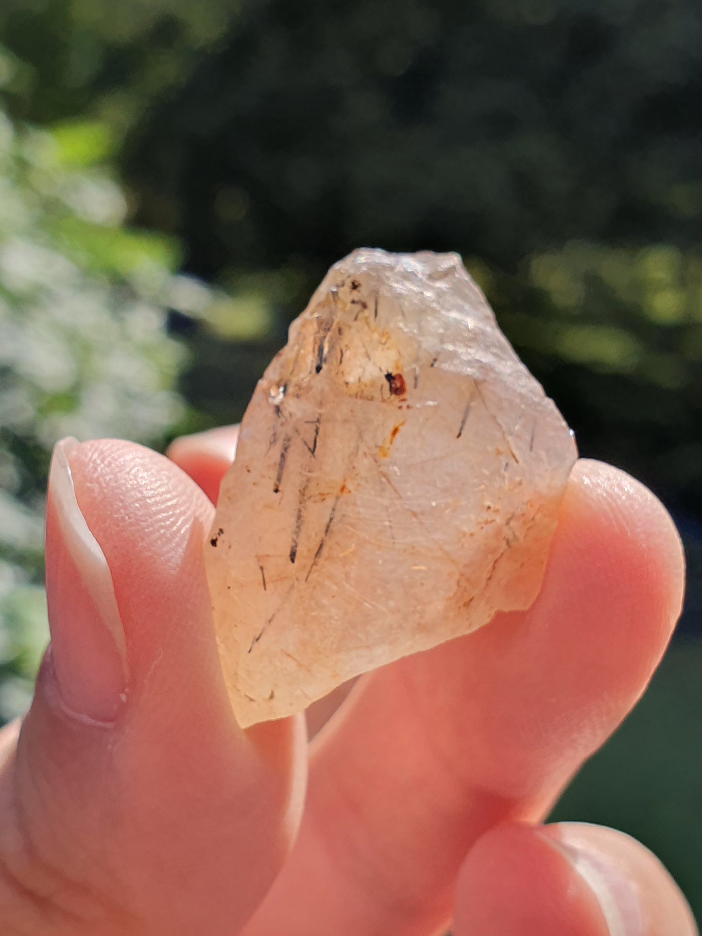 Quartz inclusions rutile et tourmaline noire (à choisir)
