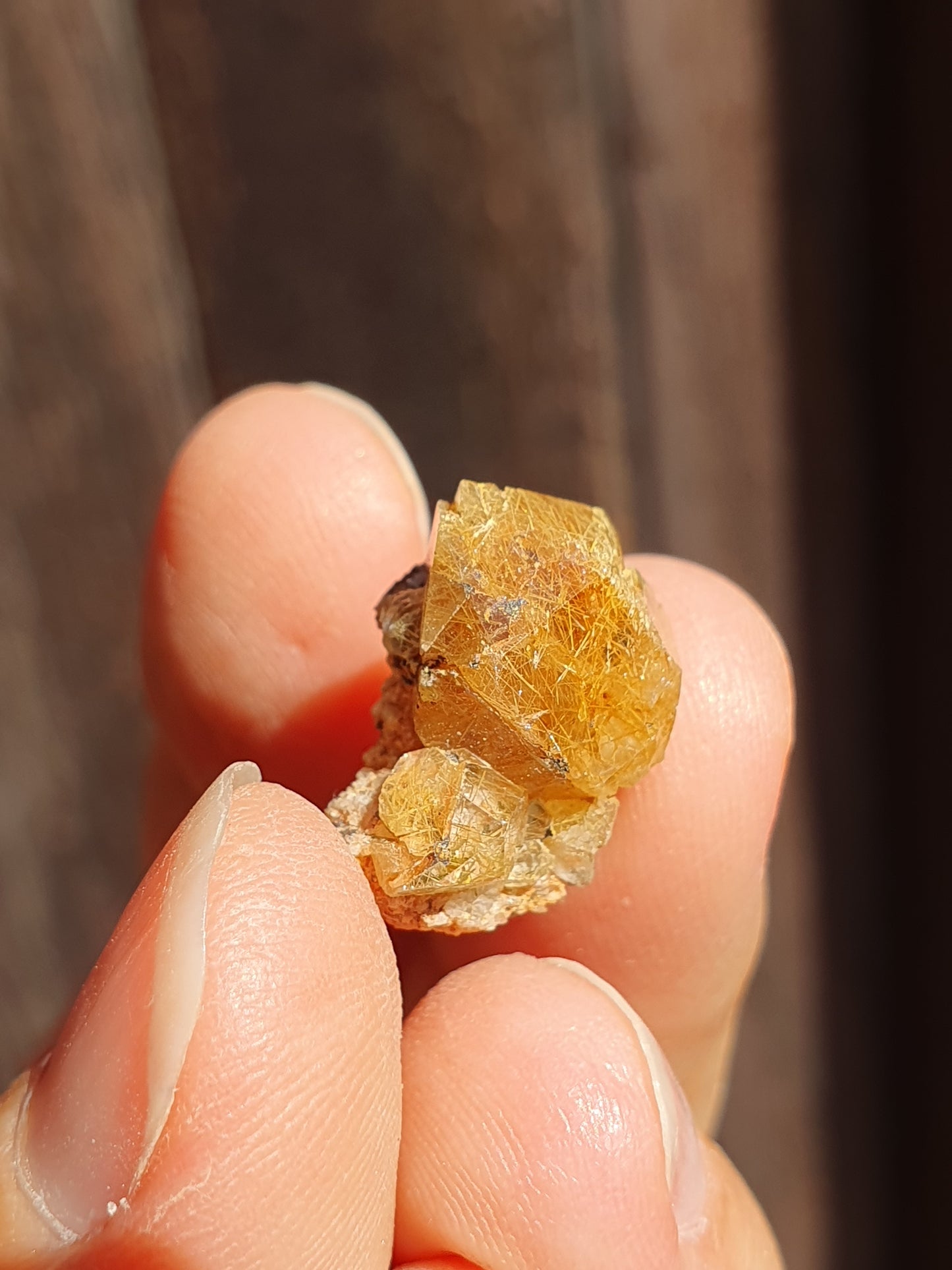 Quartz inclusions rutile et tourmaline noire (à choisir)