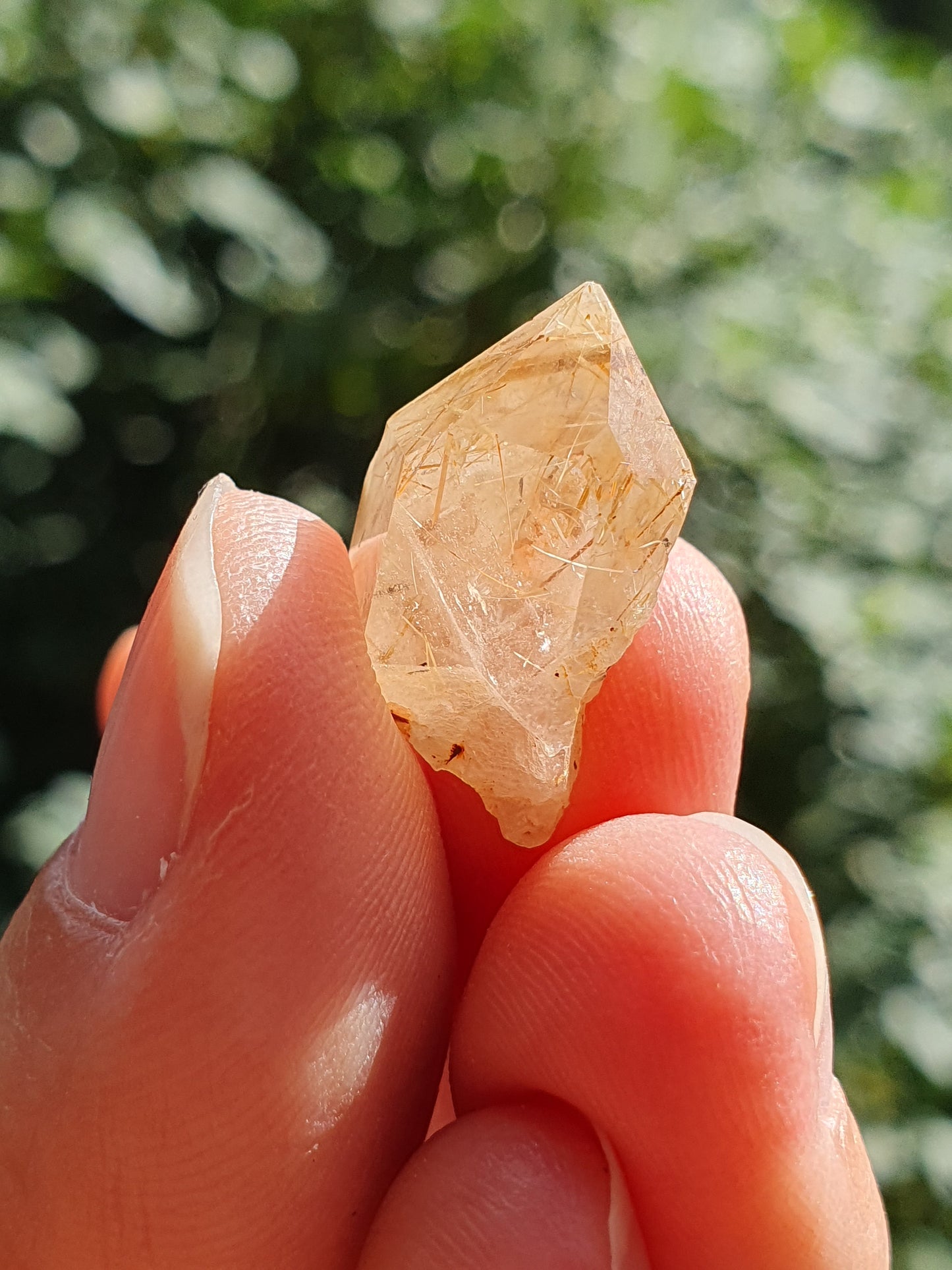 Quartz inclusions rutile et tourmaline noire (à choisir)