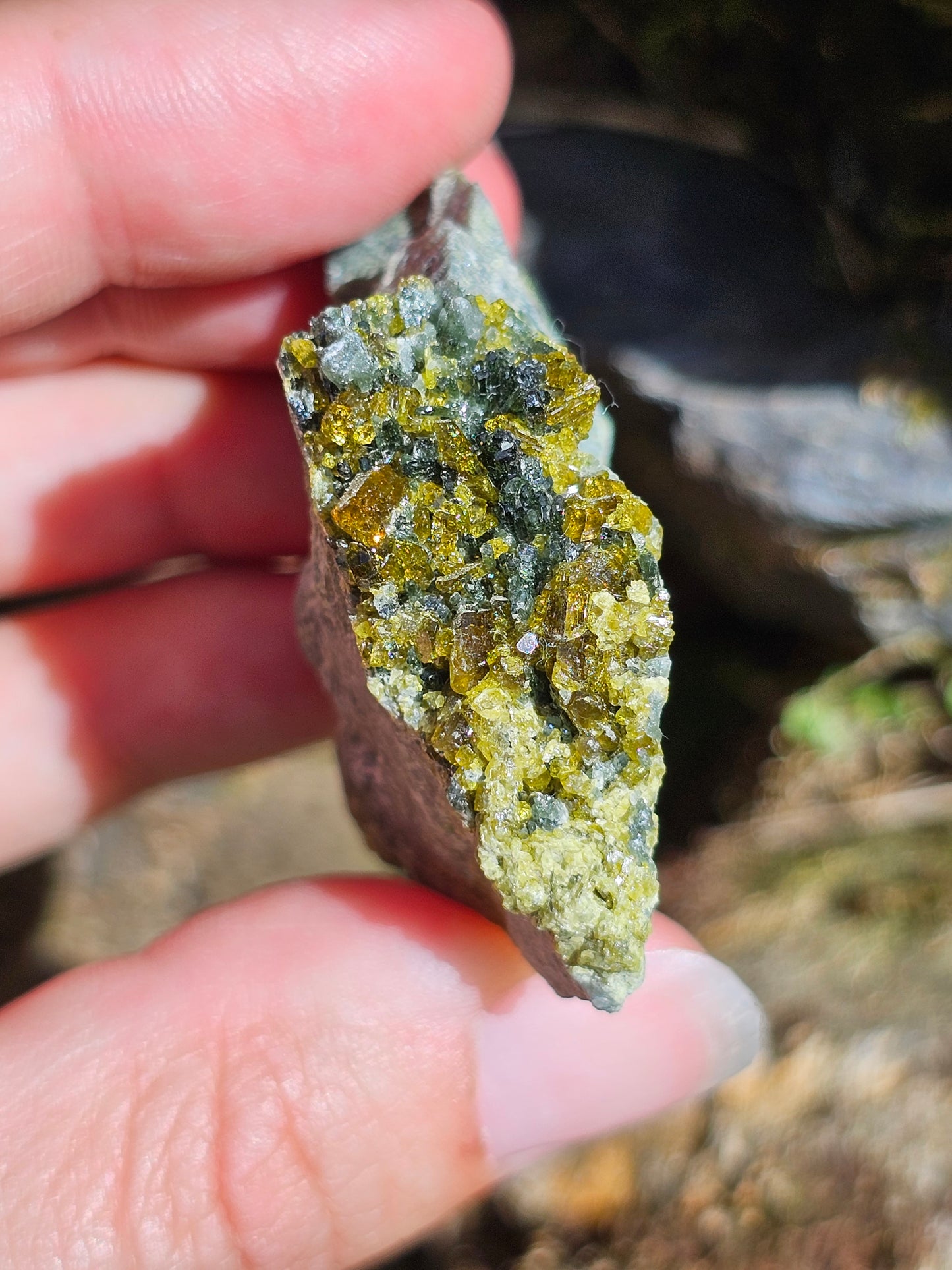 Mélange Grenat, Diopside, Epidote du Pakistan H