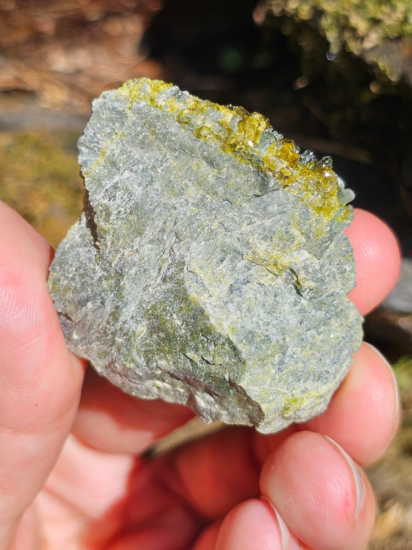 Mélange Grenat, Diopside, Epidote du Pakistan H